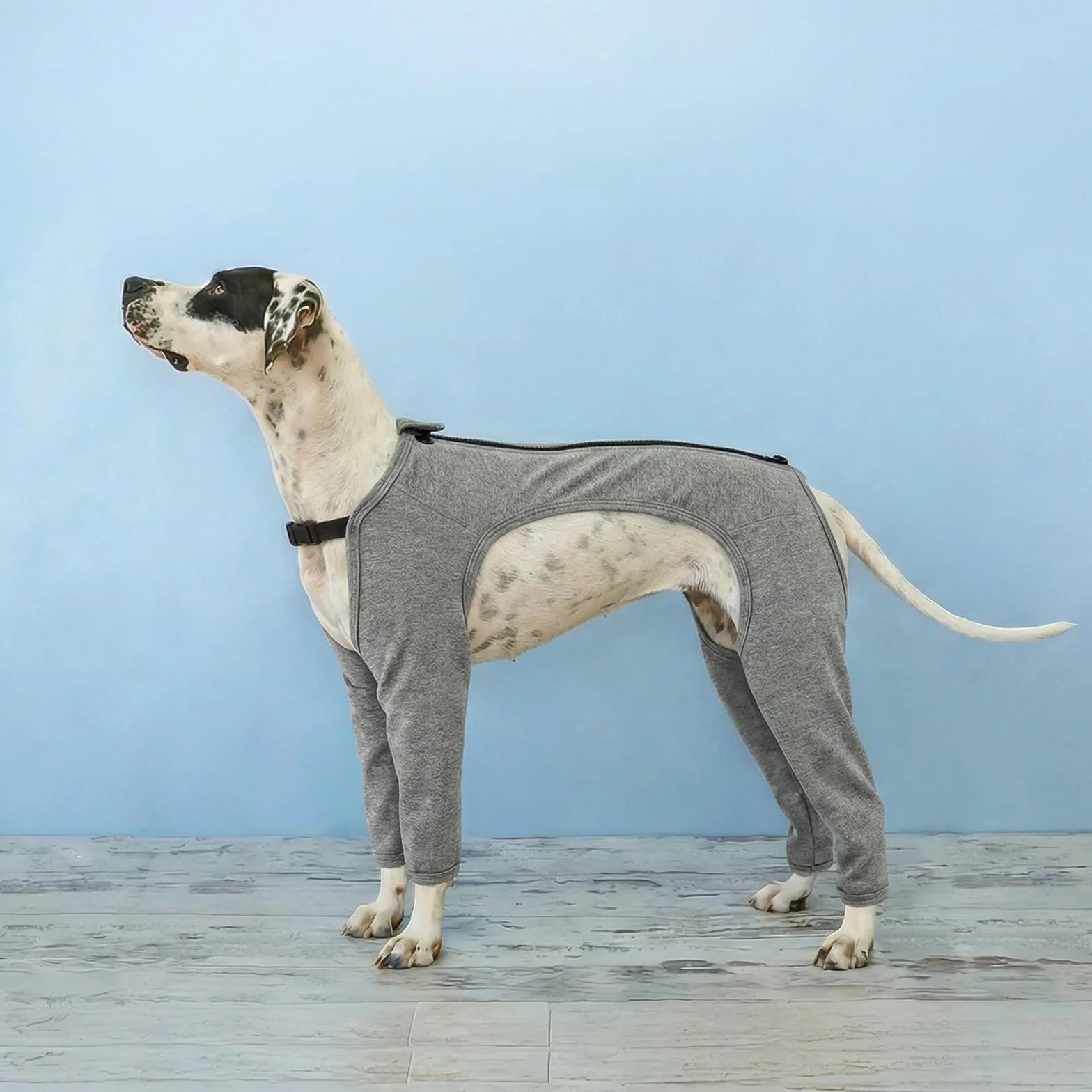 Body Post Opératoire Chien Manchon Patte Avant Vêtement Chirurgie Doux Anti Léchage Récupération Pattes Arrière TPLO LCA Gris XL