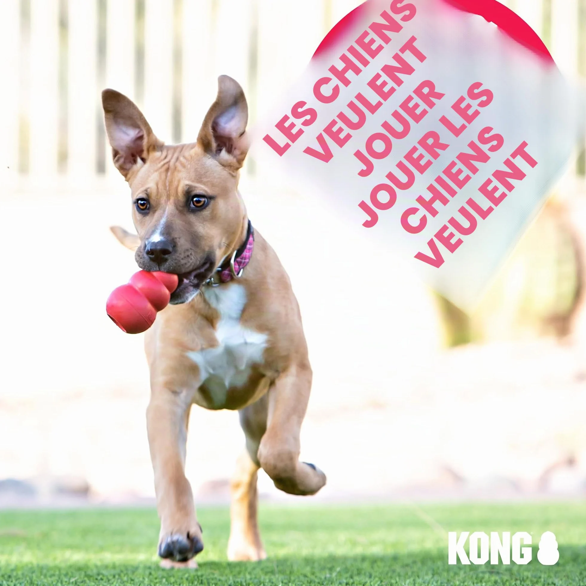 KONG Ring Jouet à Mâcher pour Chien Caoutchouc Naturel Durable Petits/Moyens
