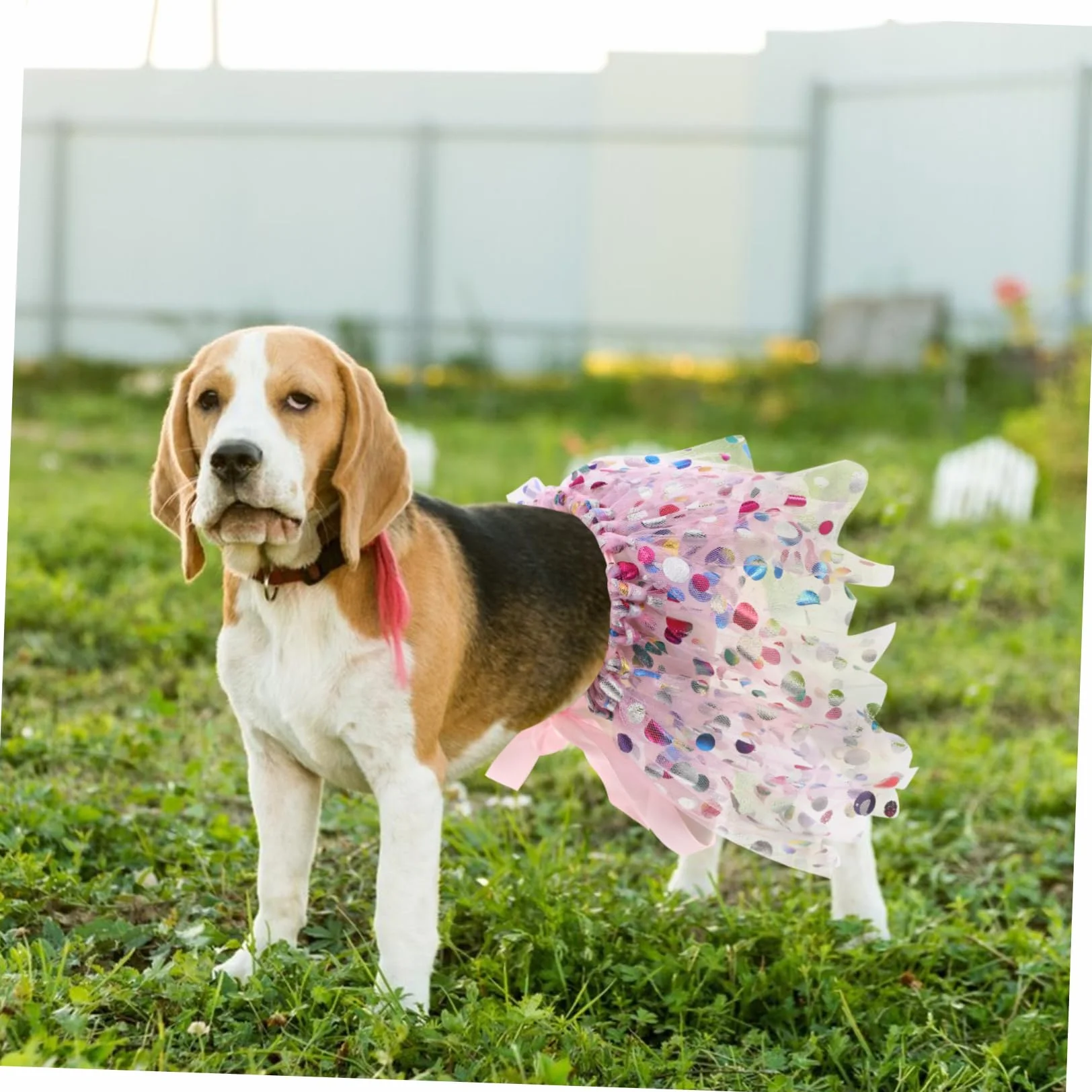 BESTonZON Robe tutu réglable respirante pour chiens petite moyenne grande taille tulle costume chiot animal de compagnie tenue anniversaire