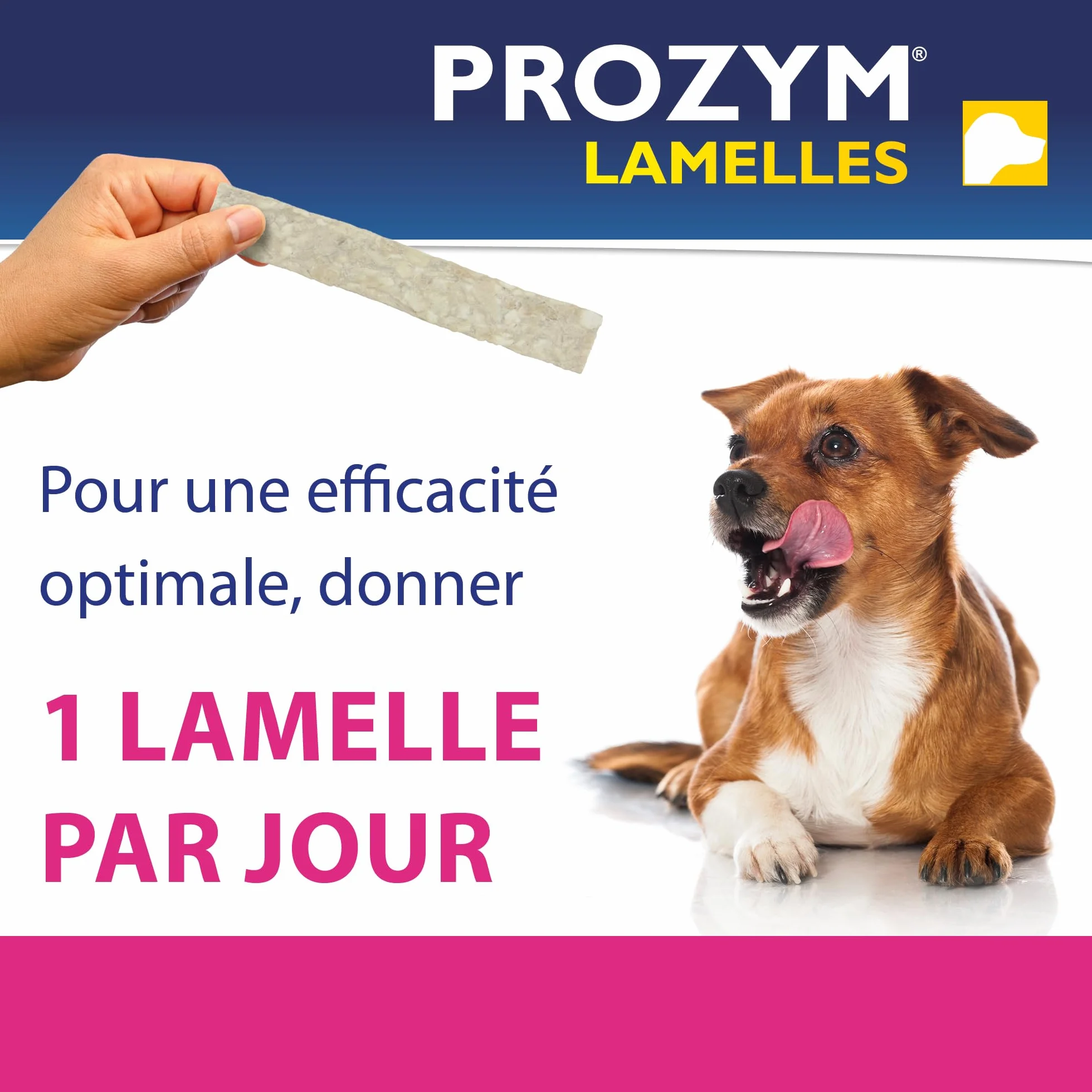 Prozym Lamelles Chiens Soin Dentaire Anti-tartre Anti-Plaque Haleine Fraîche (S)