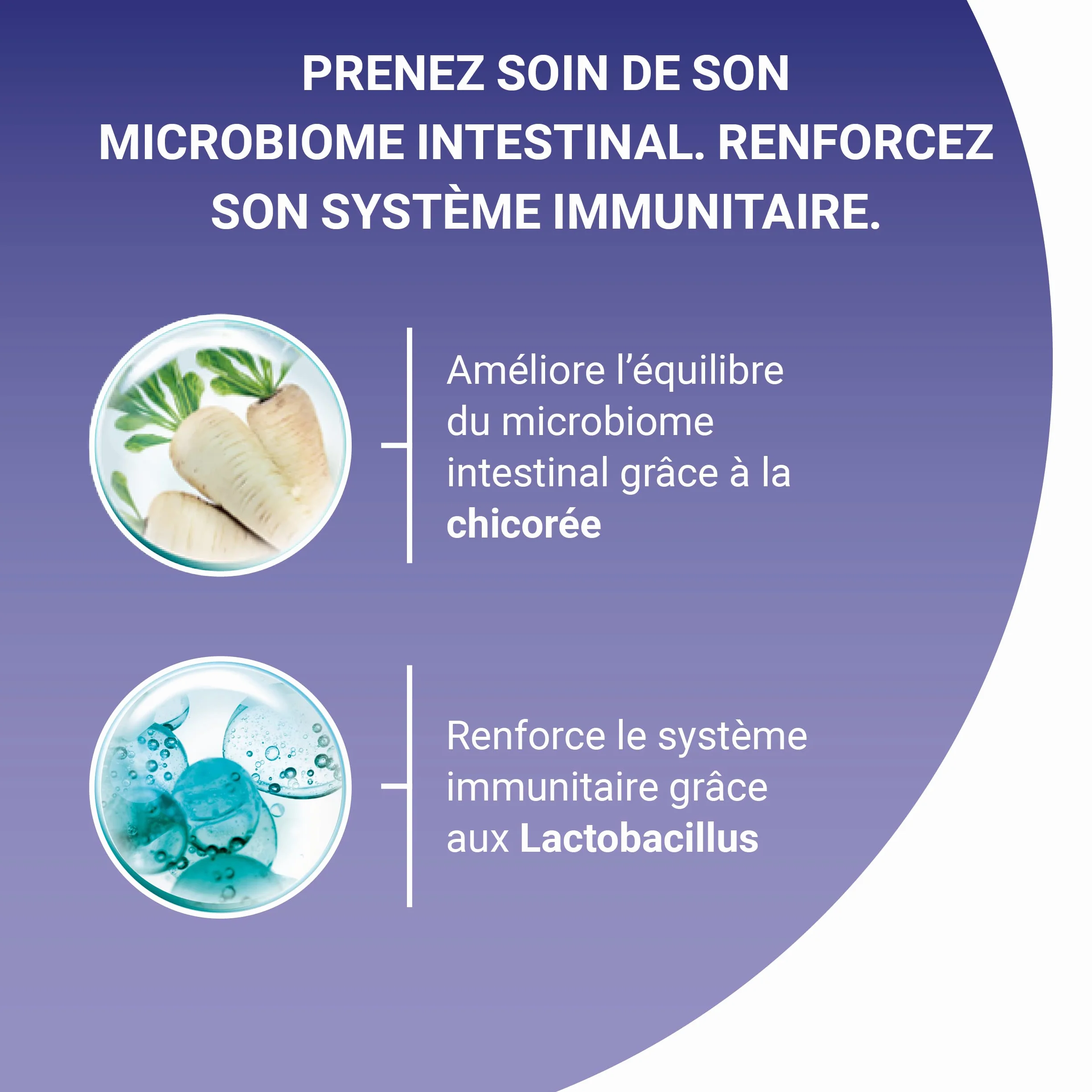 PURINA ONE BIFENSIS Croquettes Chat Adulte Stérilisé Au Saumon 9,5kg