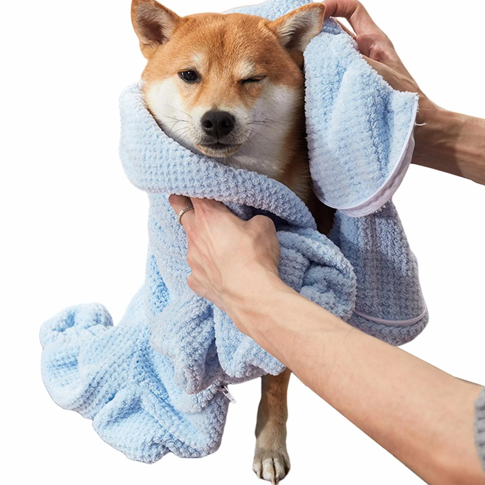 Peignoir de bain pour chien à séchage rapide, serviette absorbante, enroulé, accessoires de bain