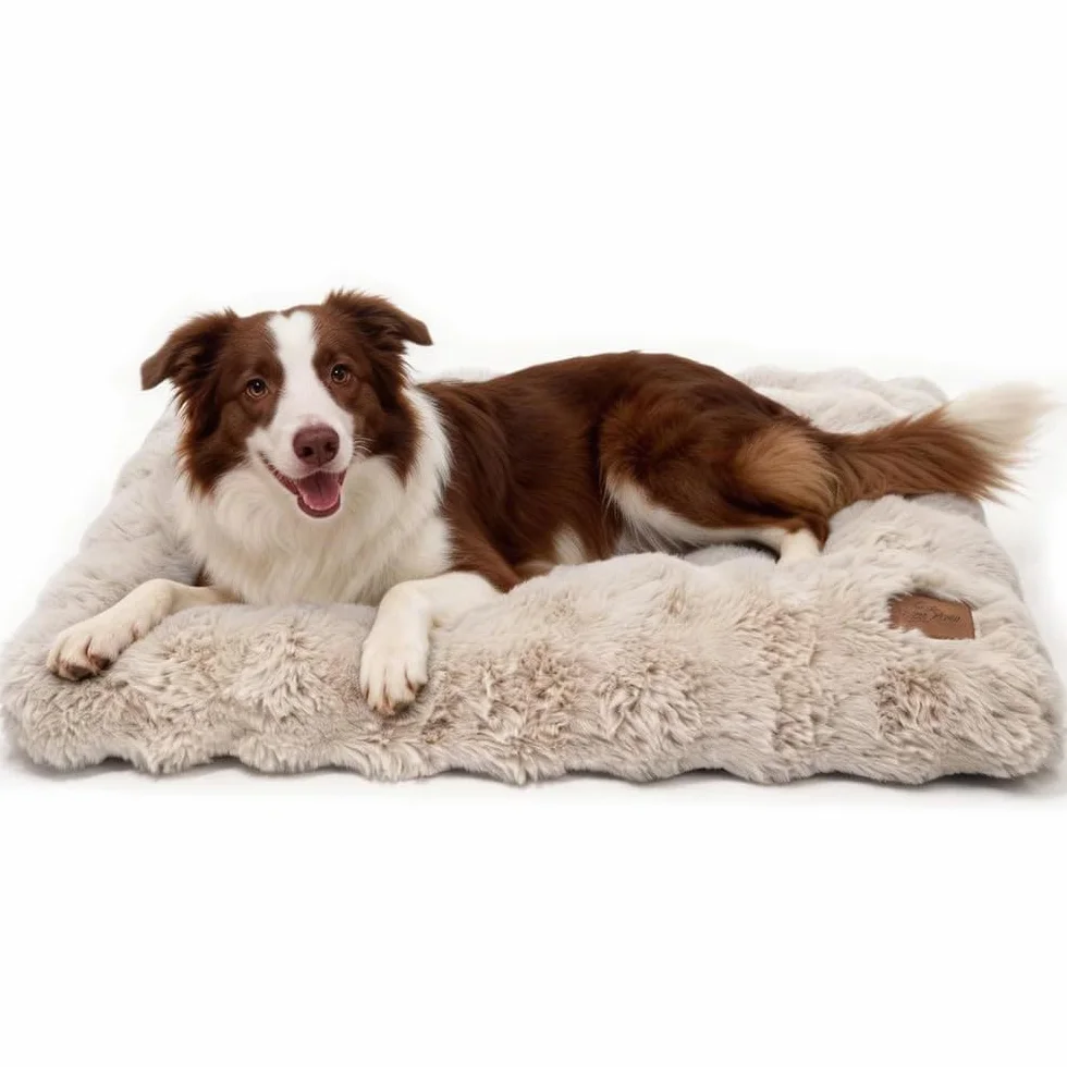 BingoPaw Panier Chien Grande Taille 90x60x10cm Coussin Déhoussable Lavable Machine Imperméable Tissu Peluche Doux Beige