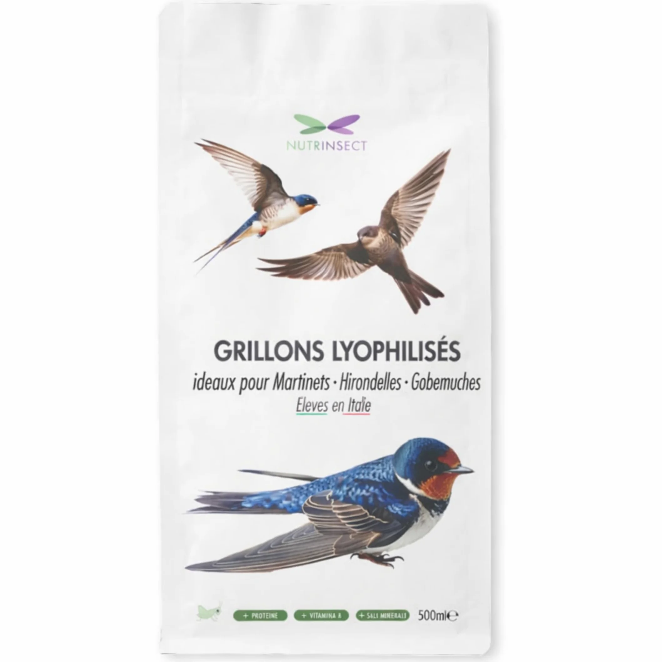 Grillons Lyophilisés 500 ML Insectes Comestibles Riches en Protéines Nourriture Oiseaux