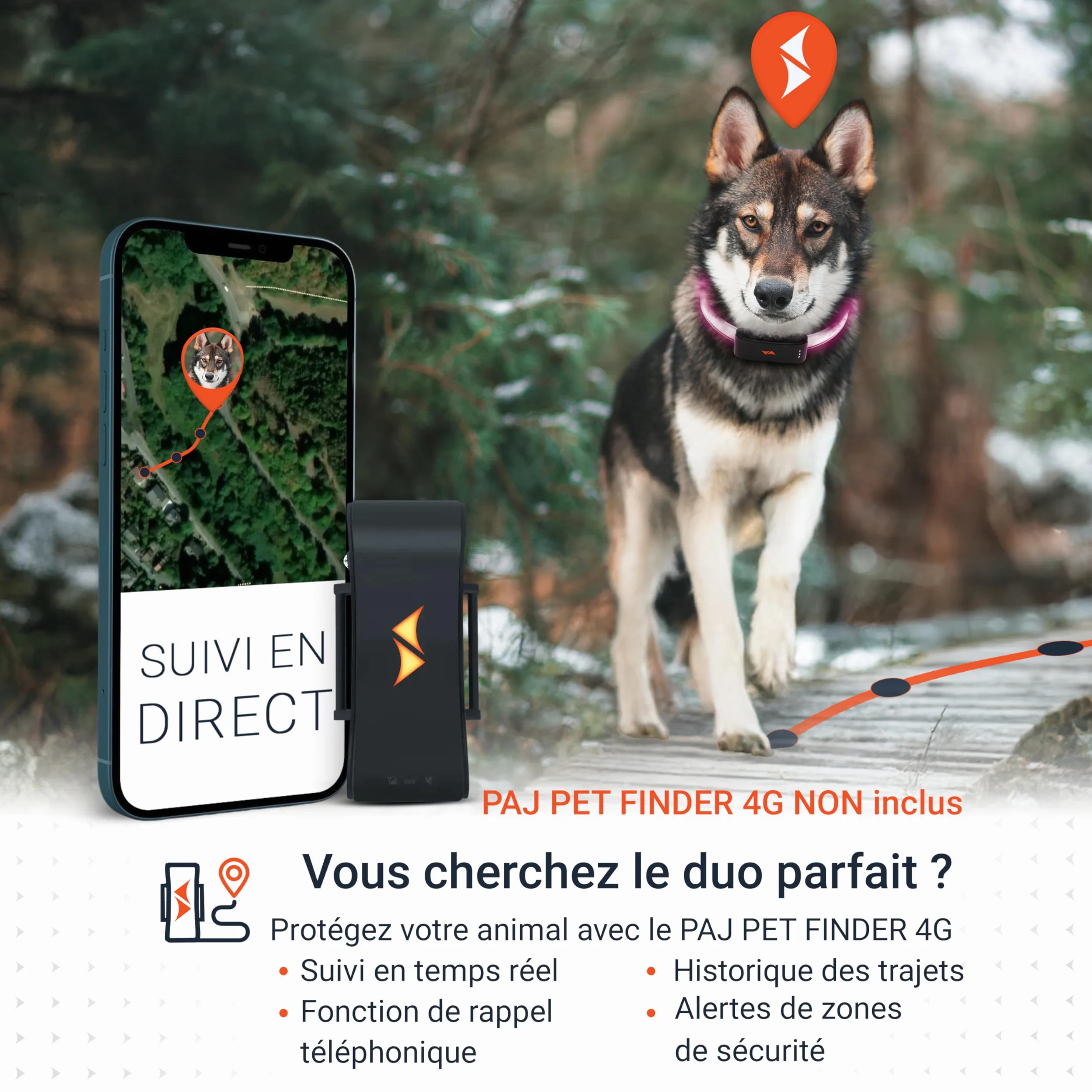 PAJ Light LED Collar Collier Lumineux Chien Longueur Personnalisable 20-70cm 100% étanche 7 Couleurs Nuit