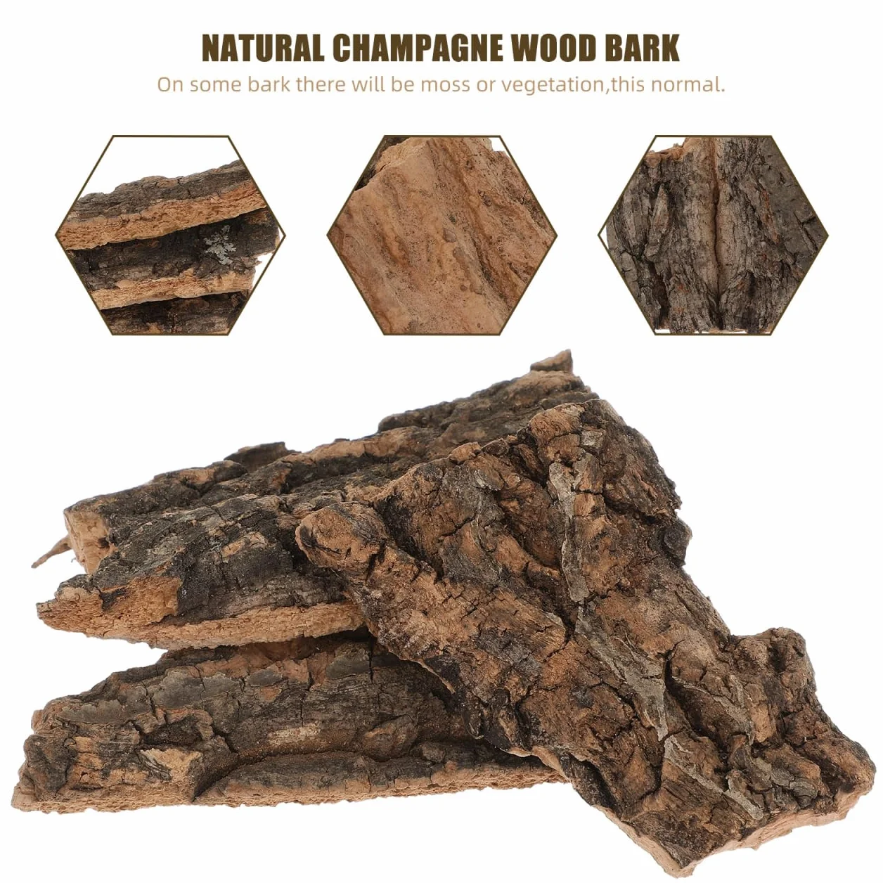 LALAFINA Lot de 10 Écorces Décoratives Naturelles pour Terrarium Reptiles Lézards Tortues Petite 5-9 CM Bois Sûr