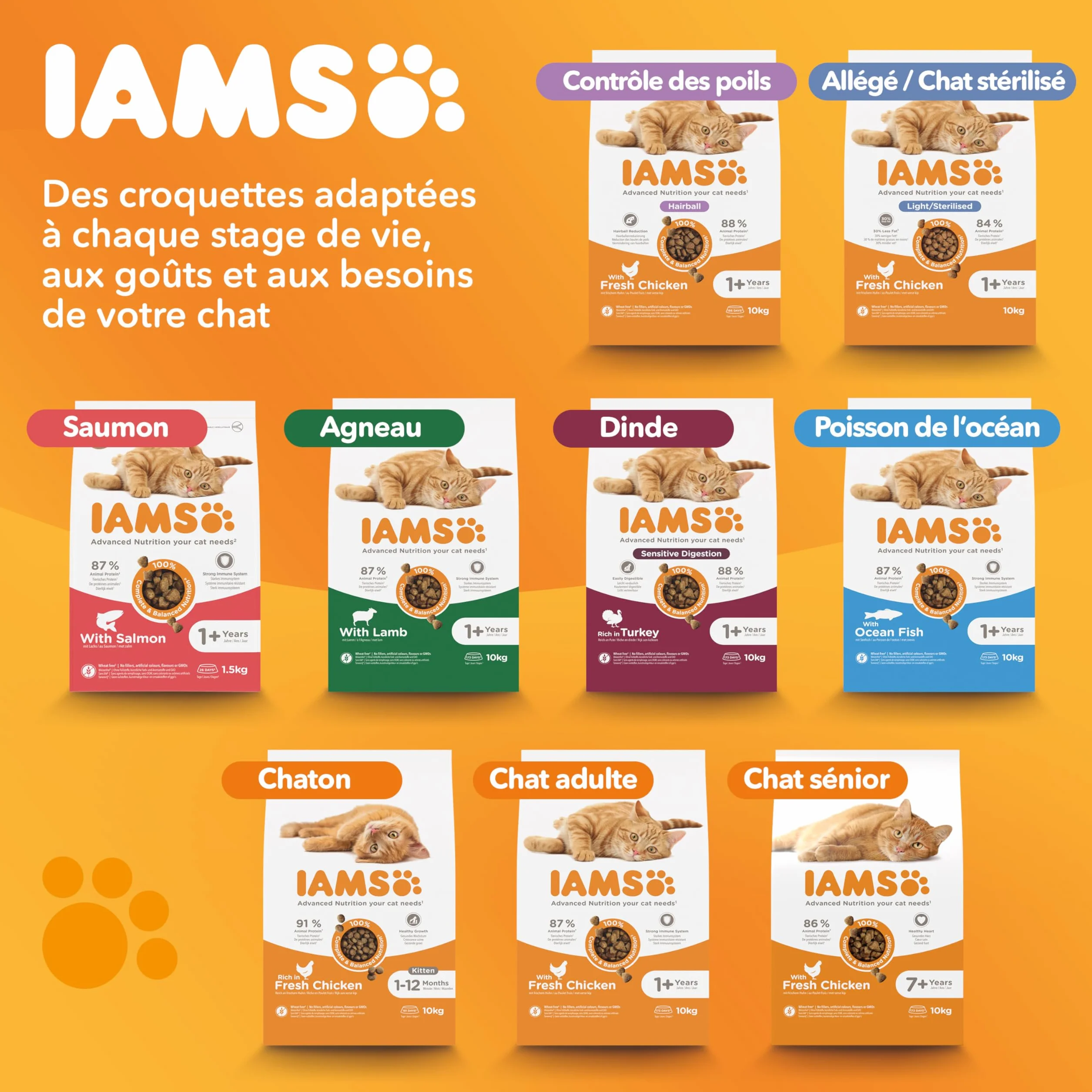IAMS Croquette au Poulet pour Chat Adulte 10 kg