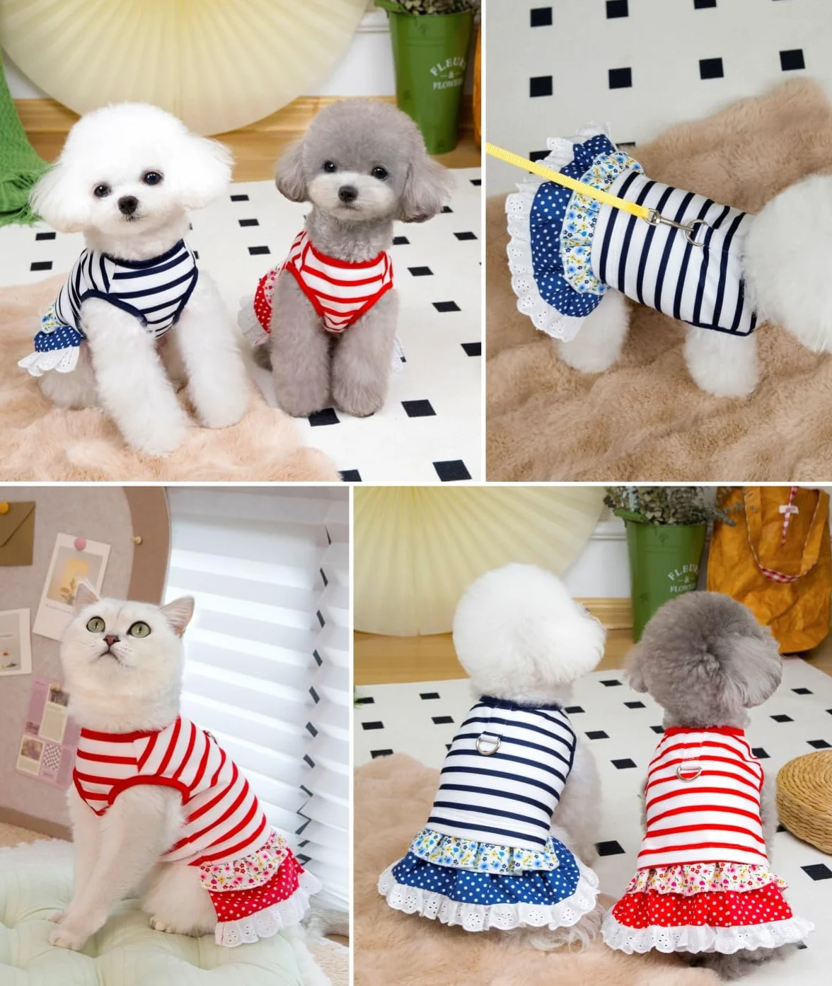 Robe rayures nautiques chien XL jupe dentelle florale pois anneau D yorkshire chihuahua printemps été
