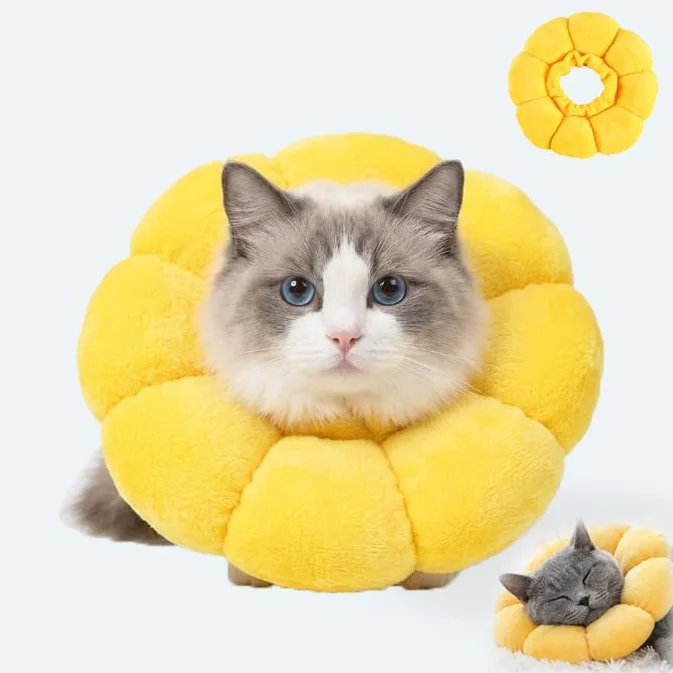 Collerette pour Chat Design Tournesol Collier Élisabethain Doux Protection Après Opération Anti Léchage Réglable