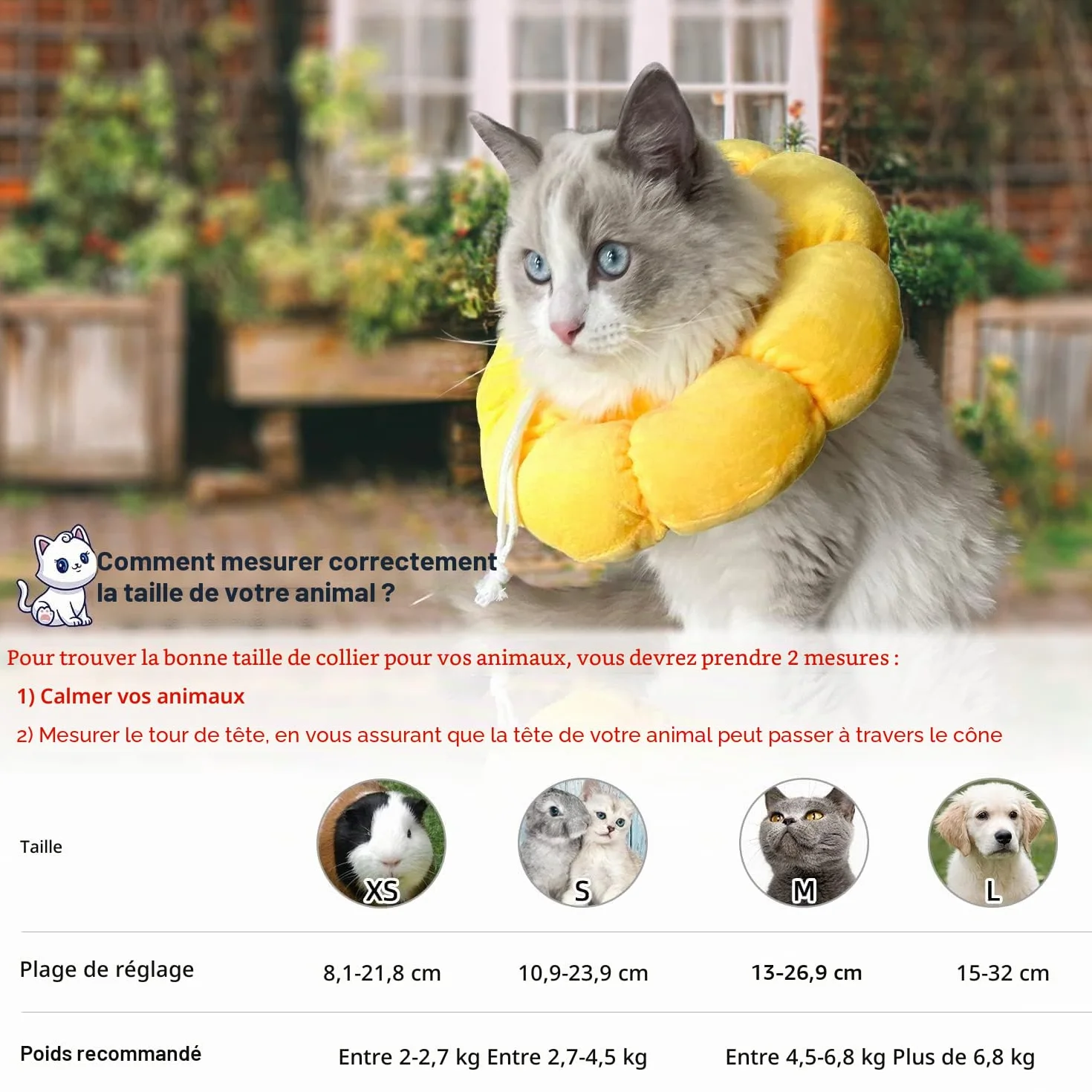 Collerette Réglable pour Chat et Petit Chien Après Opération, Taille L