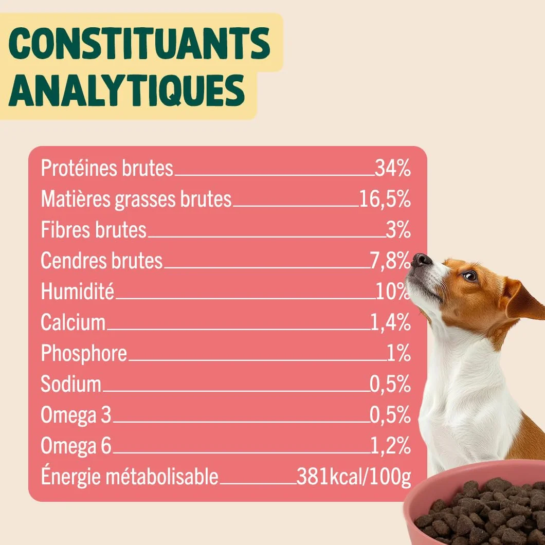 Franklin Croquettes pour Chien 70% Saumon Mono-protéine sans Céréales Peau et Pelage 2,5 kg