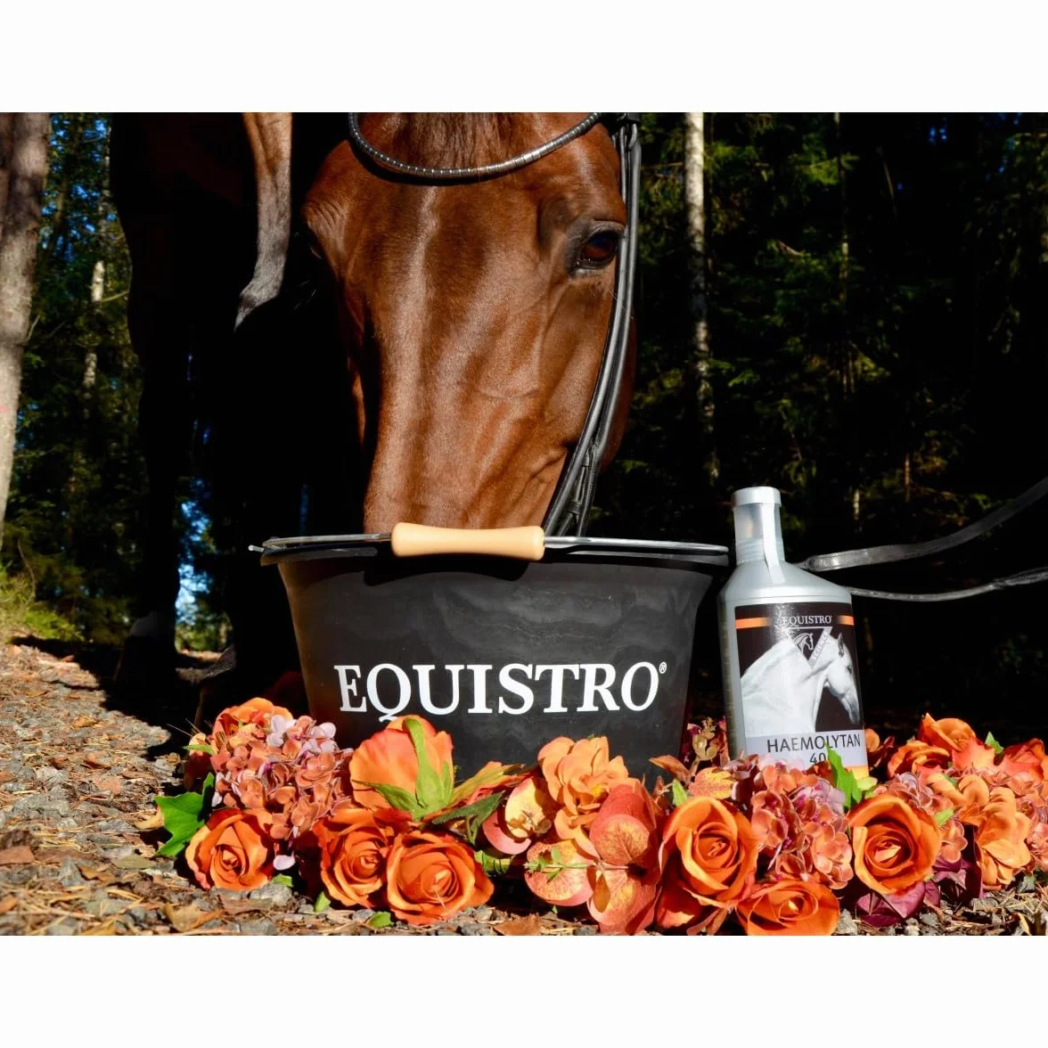 Equistro Haemolytan 400 1 l