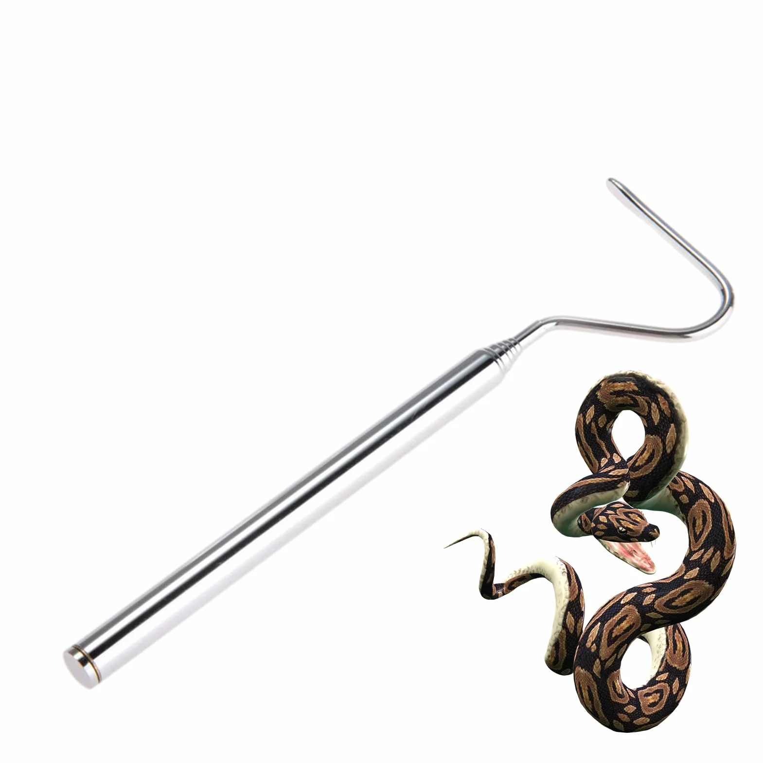 Pince à Crochet Télescopique en Acier Inoxydable pour Attraper les Reptiles