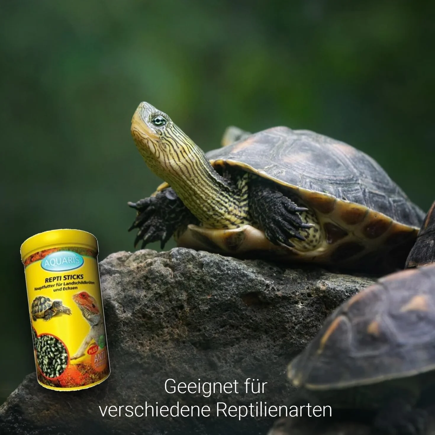 Aquaris Repti Sticks Carni 300g Aliment Complet pour Tortues d’Eau et des Marais