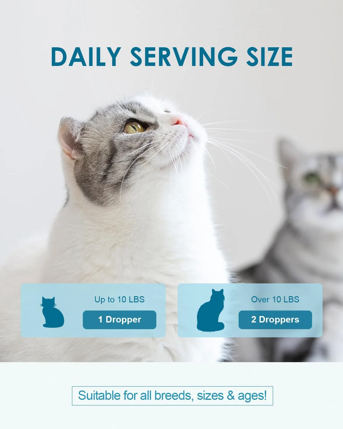 Boules Remède pour Chat - Traitement des Boules de Poils, Soutien Digestif, Psyllium, Fibres, Enzyme, Taurine, Vitamines, 60 ML