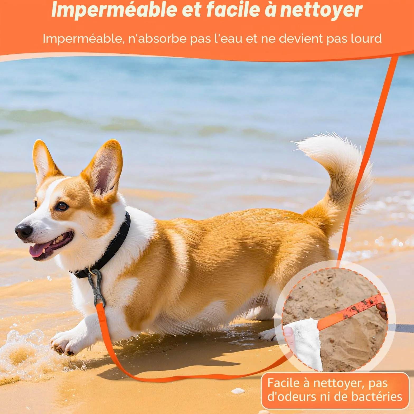 Laisse pour Chien XBEN, Longe de Dressage étanche 3-30M, Mousqueton Verrouillable, Orange