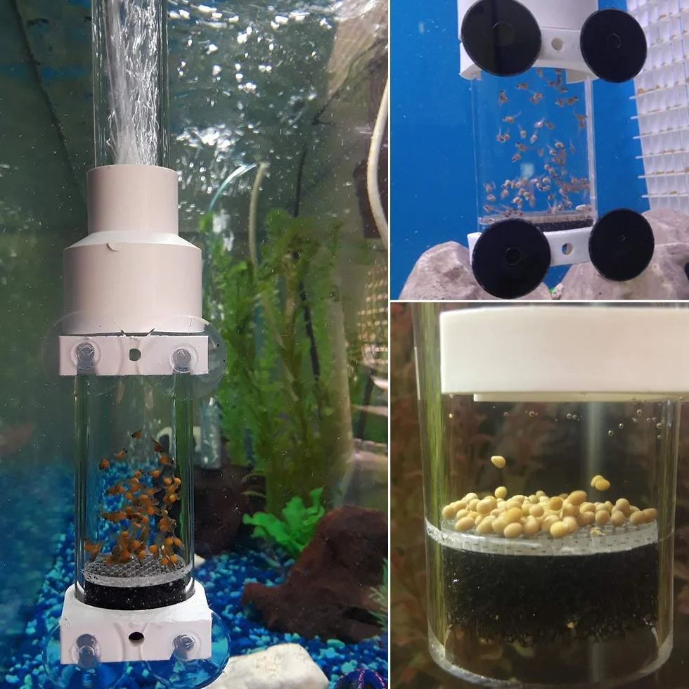 SENZEAL Aquarium Cichlidés Incubateur d'Œufs de Poissons Tumbler 50mm