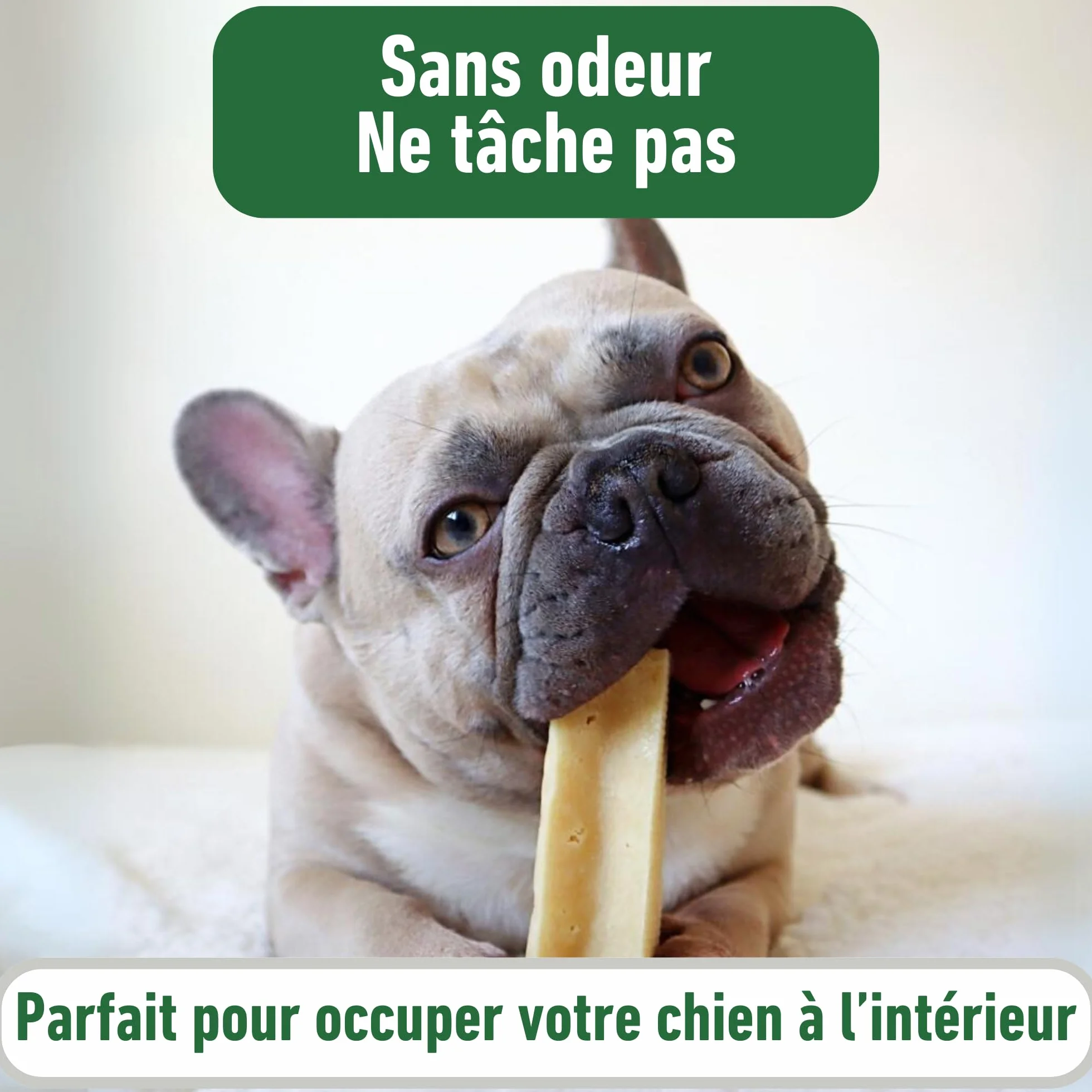 Friandises au Fromage de Yak pour Chien Os à mâcher Himalaya Soin Dentaire Taille XL