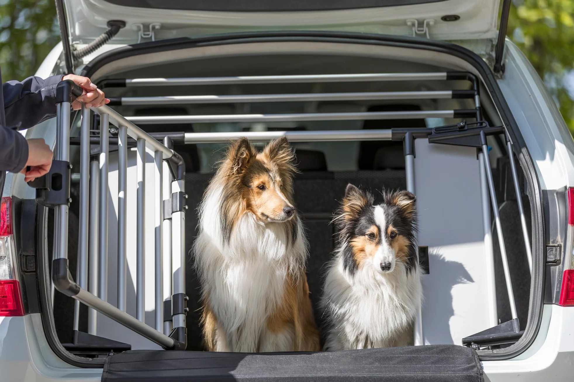Trixie Extension de Hauteur pour Grille Arriere de Voiture Universelle