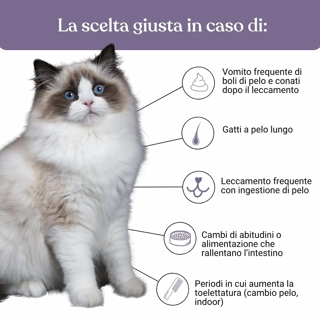 Pâte au Malt pour Chats Miào Stop Boules de Poils – Soutien Intestinal avec Fibres et Psyllium