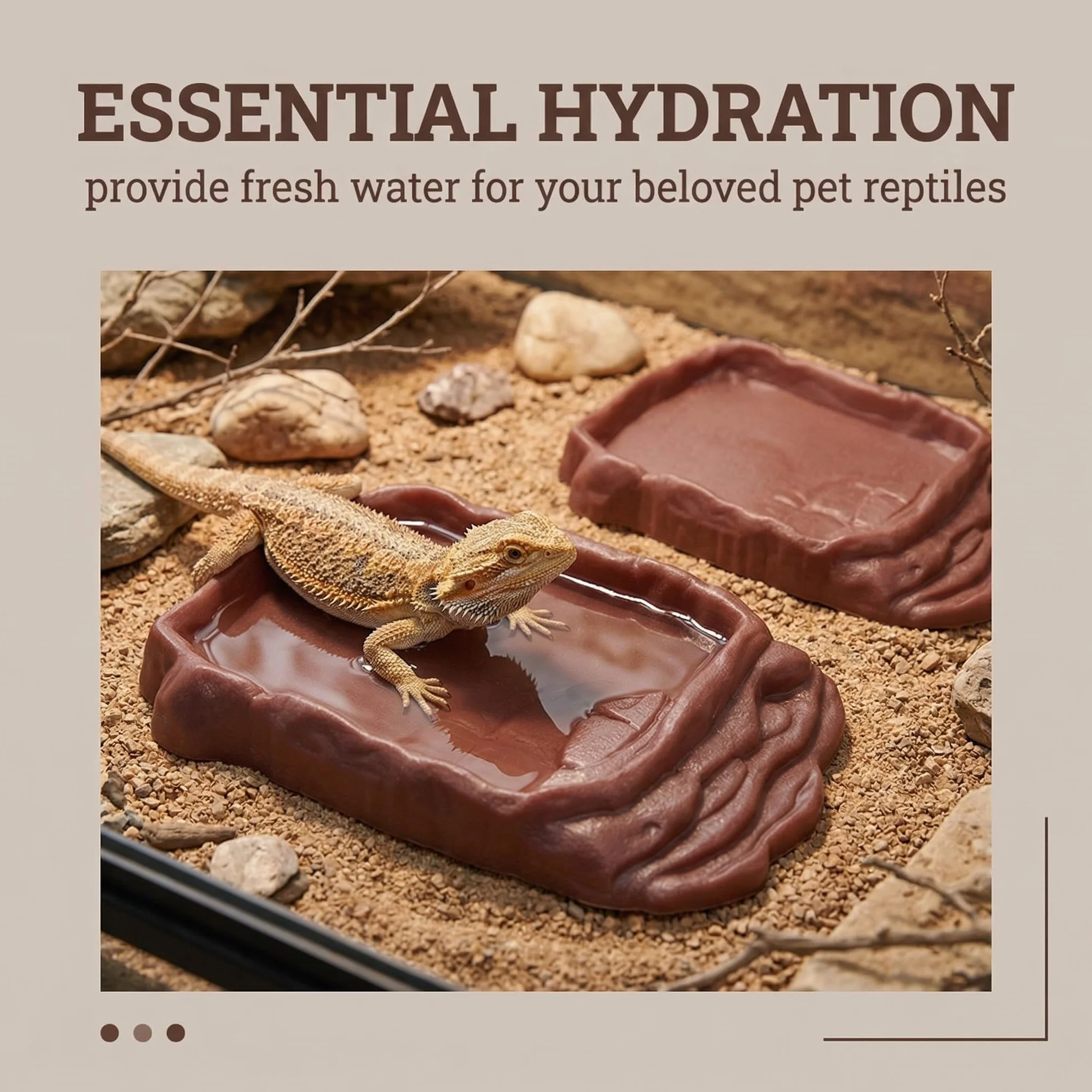 Bacs à Nourriture et à Eau en Pierre Simulée pour Tortues Reptiles Terrarium Marron 2 cm