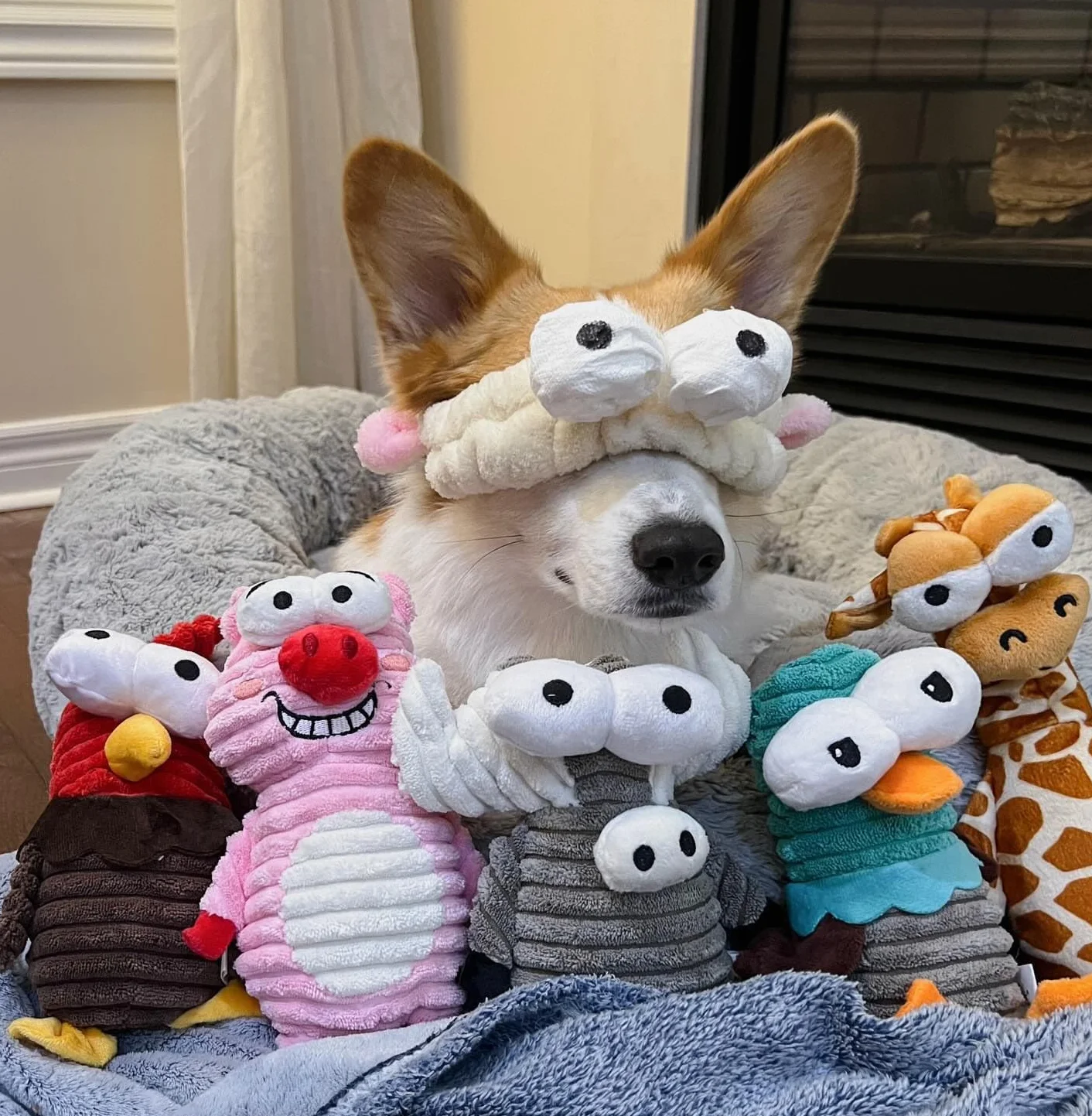 Jouet Chien Nocciola Lot De 5 avec Couineur Papier Bruissant, Jouets Interactifs en Peluche Durable pour Petite, Moyenne et Grande