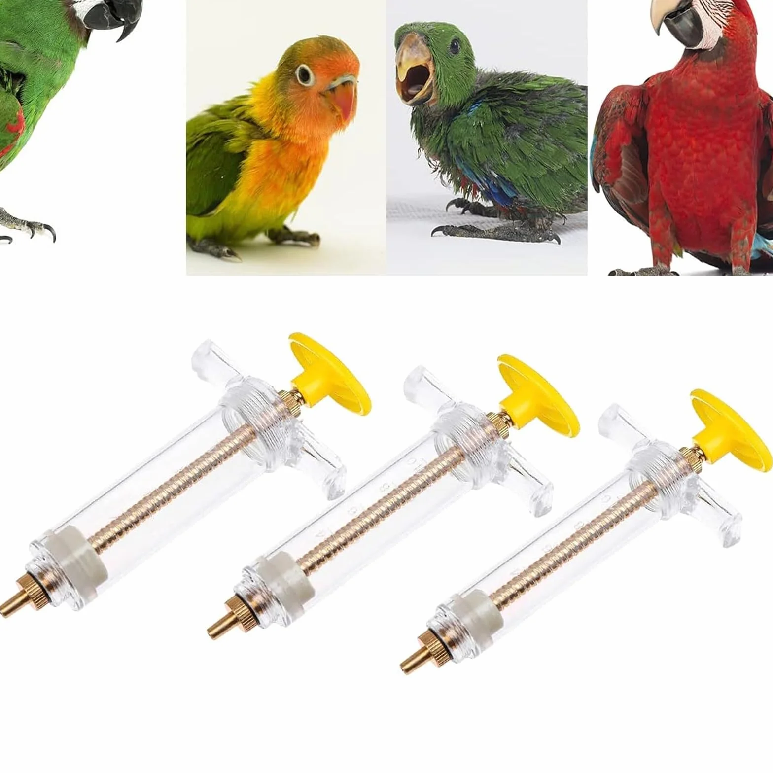 Sarini Lot 3 Tubes Alimentation Mangeoire Oiseaux Cuillères Gavage Incurvés 20 ML 10 ML 50 ML
