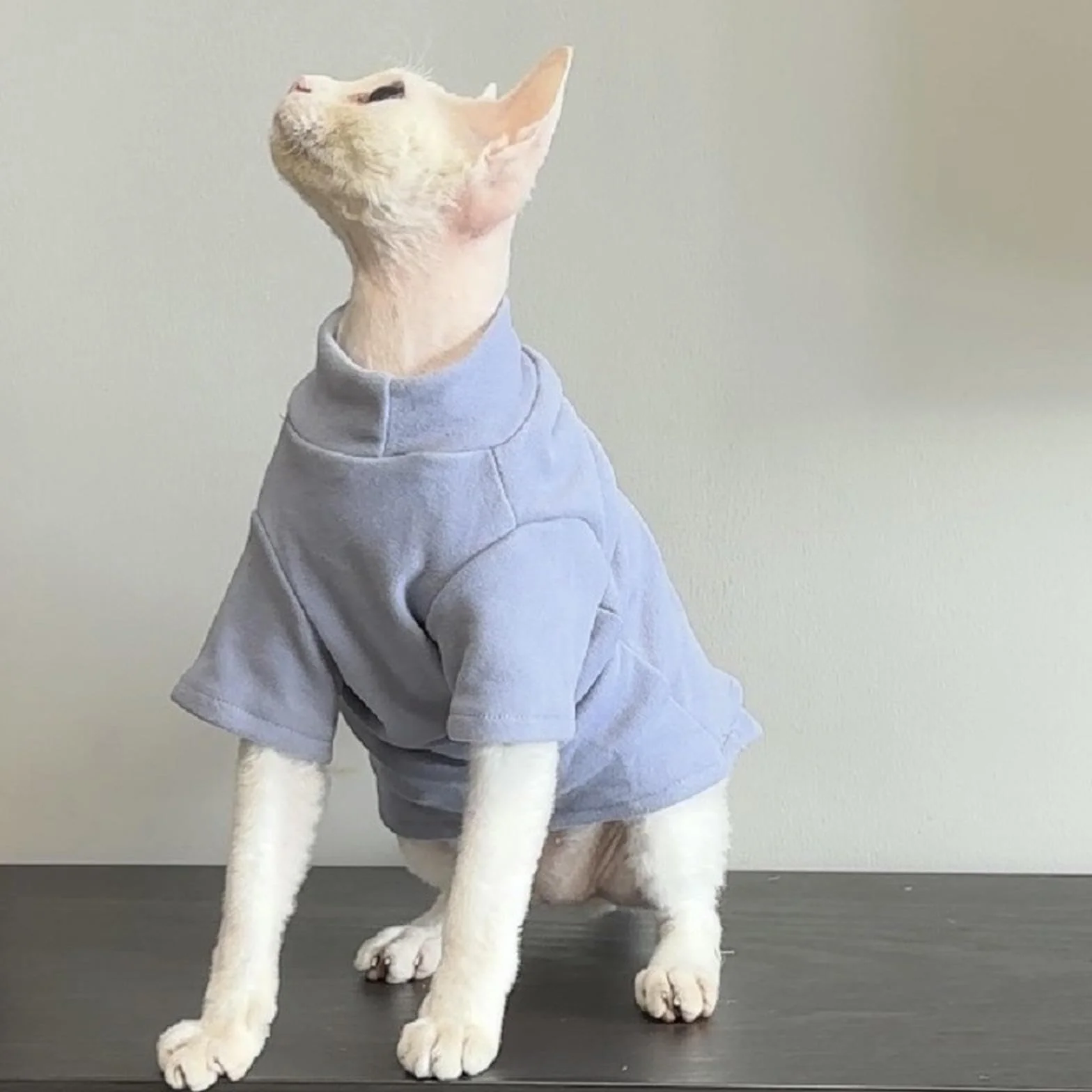 Pull Halloween pour chats sans poils Sphynx Devon Rex vêtements chauds automne hiver costumes chat