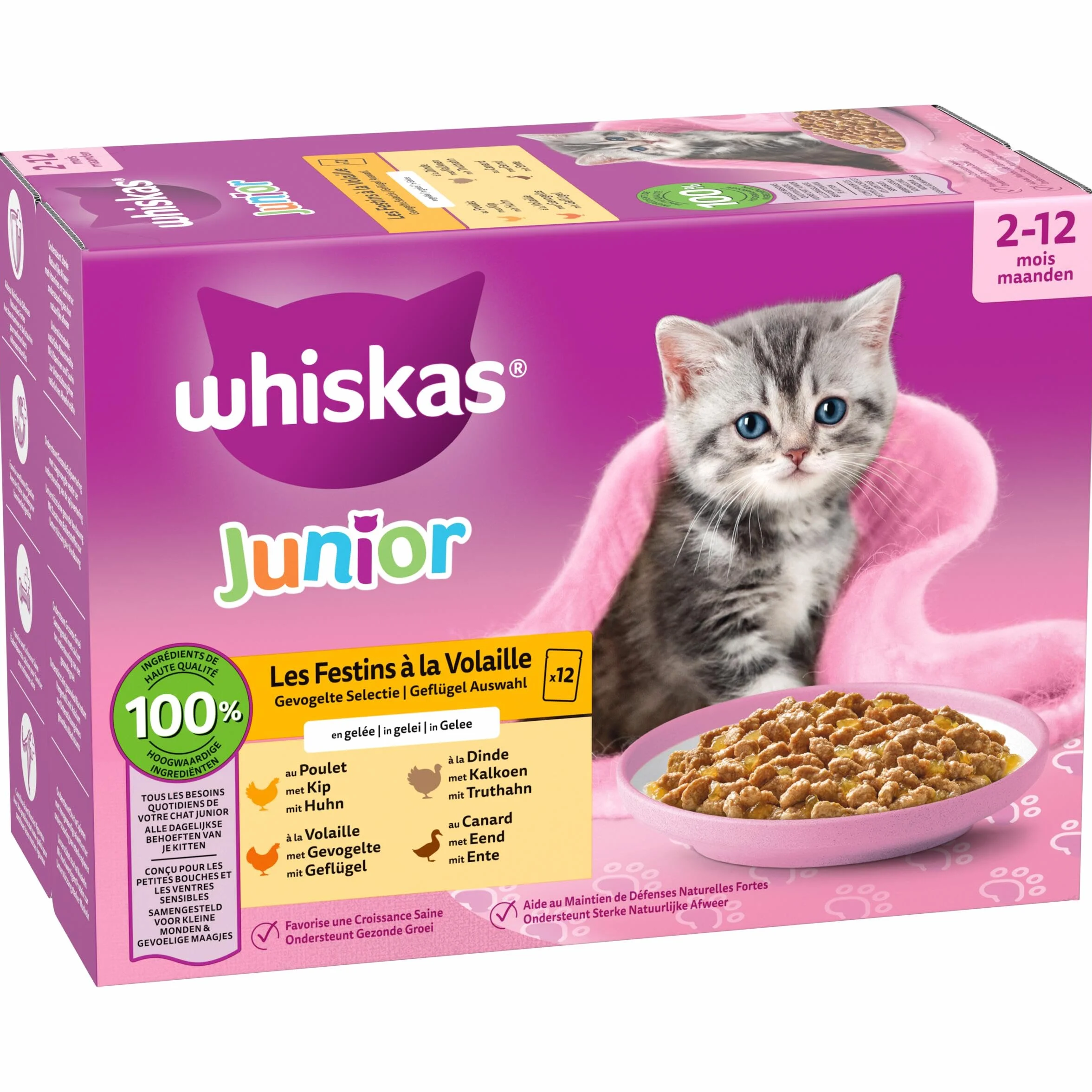 WHISKAS Aliment humide en gelée Chat junior 12x85g Festins à la Volaille Lot de 4 48 Sachets