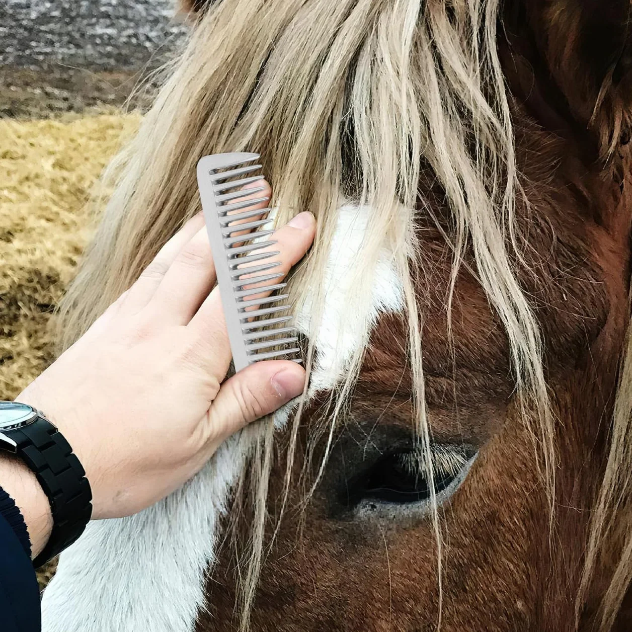 Toddmomy Peigne À Dents pour Cheval Brosse À Dents en Anneau Peigne en Métal pour Chiens