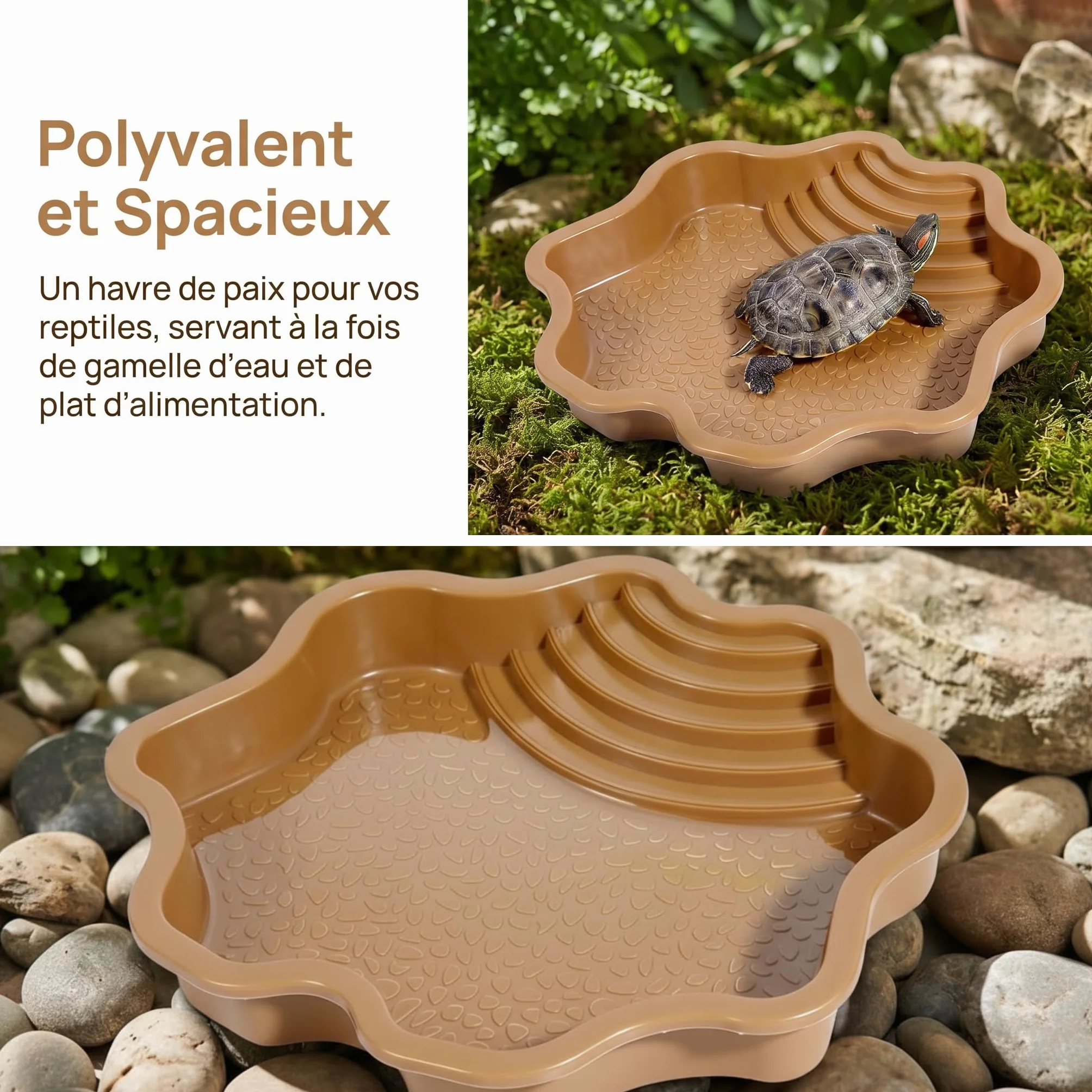 Colcolo Bassin d'eau pour Tortue avec Rampe, Plat d'alimentation pour Reptiles, Lézard, Jaune Brunâtre