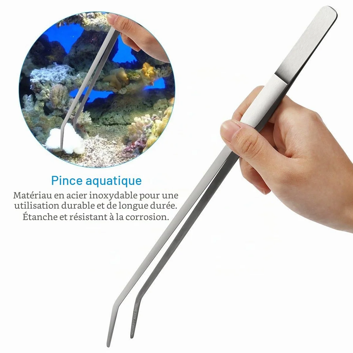 Meiso Aquarium Kit Accessoires INOX Pinces Ciseaux Outils Set Poisson