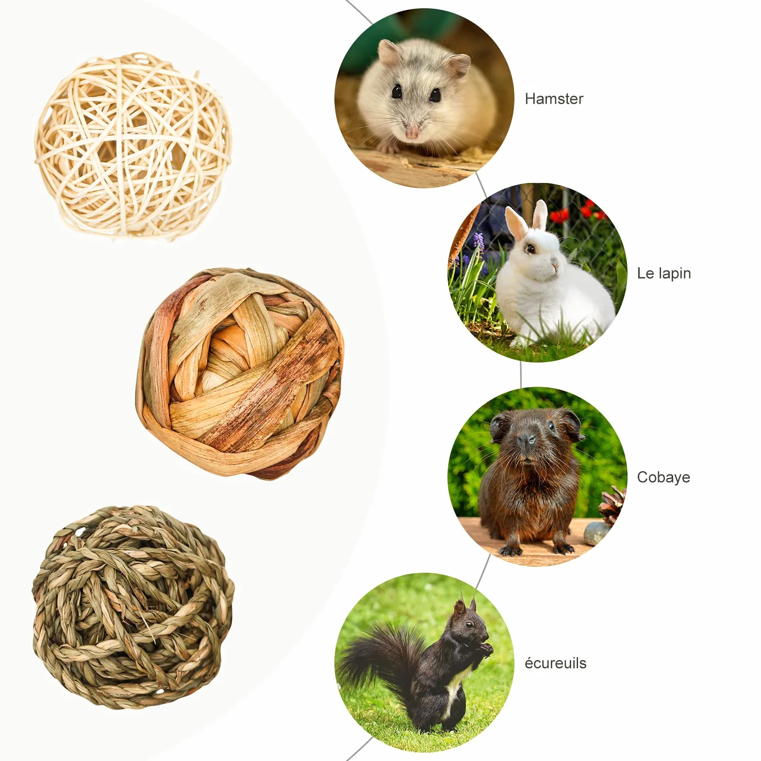 Jouets à Mâcher pour Petits Animaux 9 Pièces Balle en Rotin Boules d'herbe Santé Dentaire Lapins Hamsters