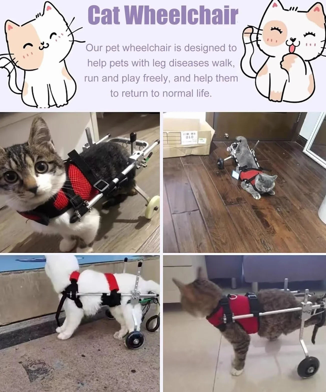 Fauteuil roulant pour chat paralysie patte arrière aluminium PET Walking Equipment Rehab trainer taille M