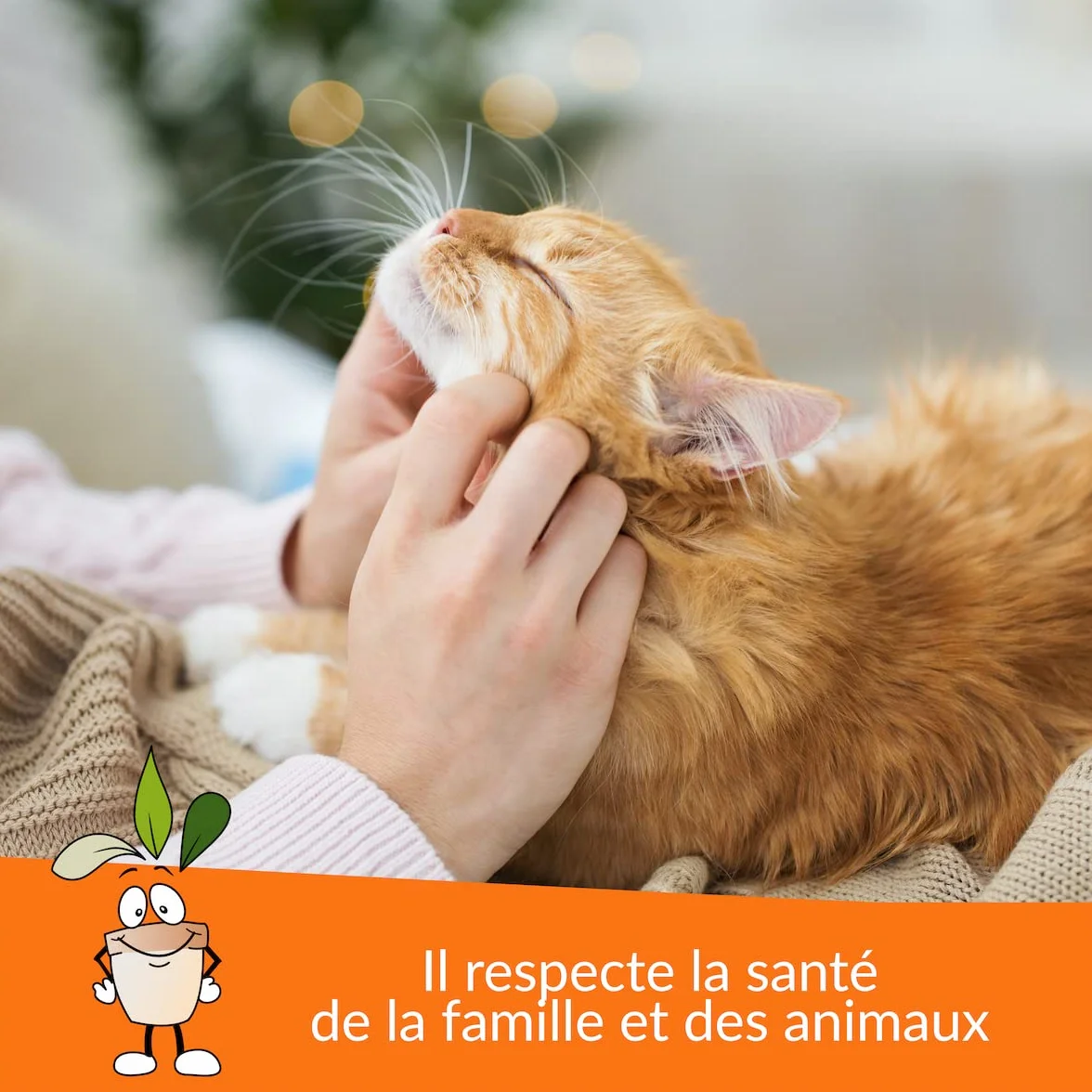 Désodorisant pour Chats 750 ML Spray Répulsif Végétal à Base de Thym Dissuasif pour Chats Intérieurs Extérieurs