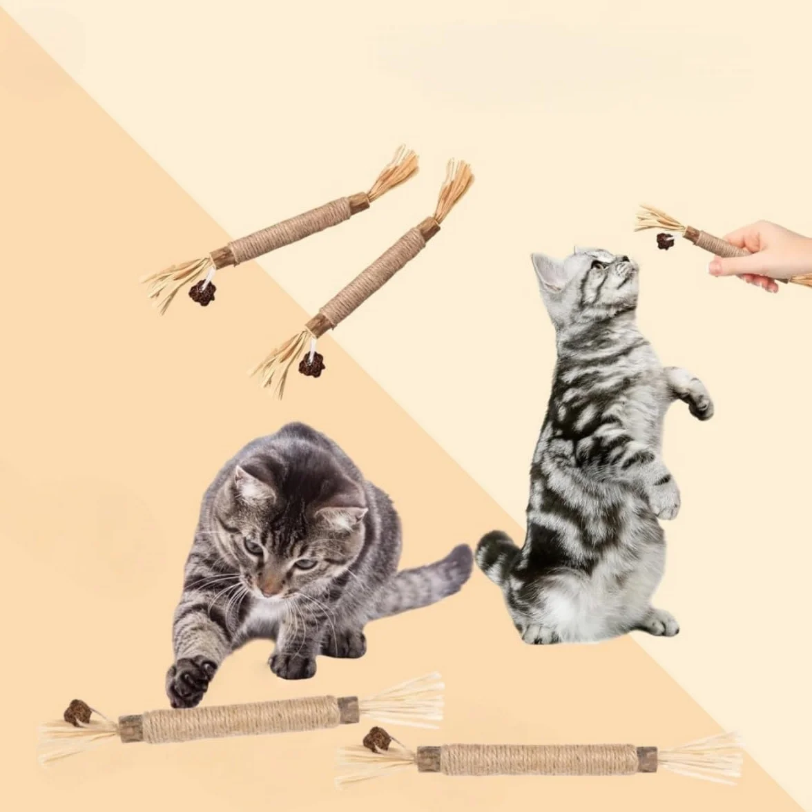 Bâtonnets Herbe à Chat Naturels 6 Pièces Jouet Interactif Nettoyage des Dents Anti-Tartre