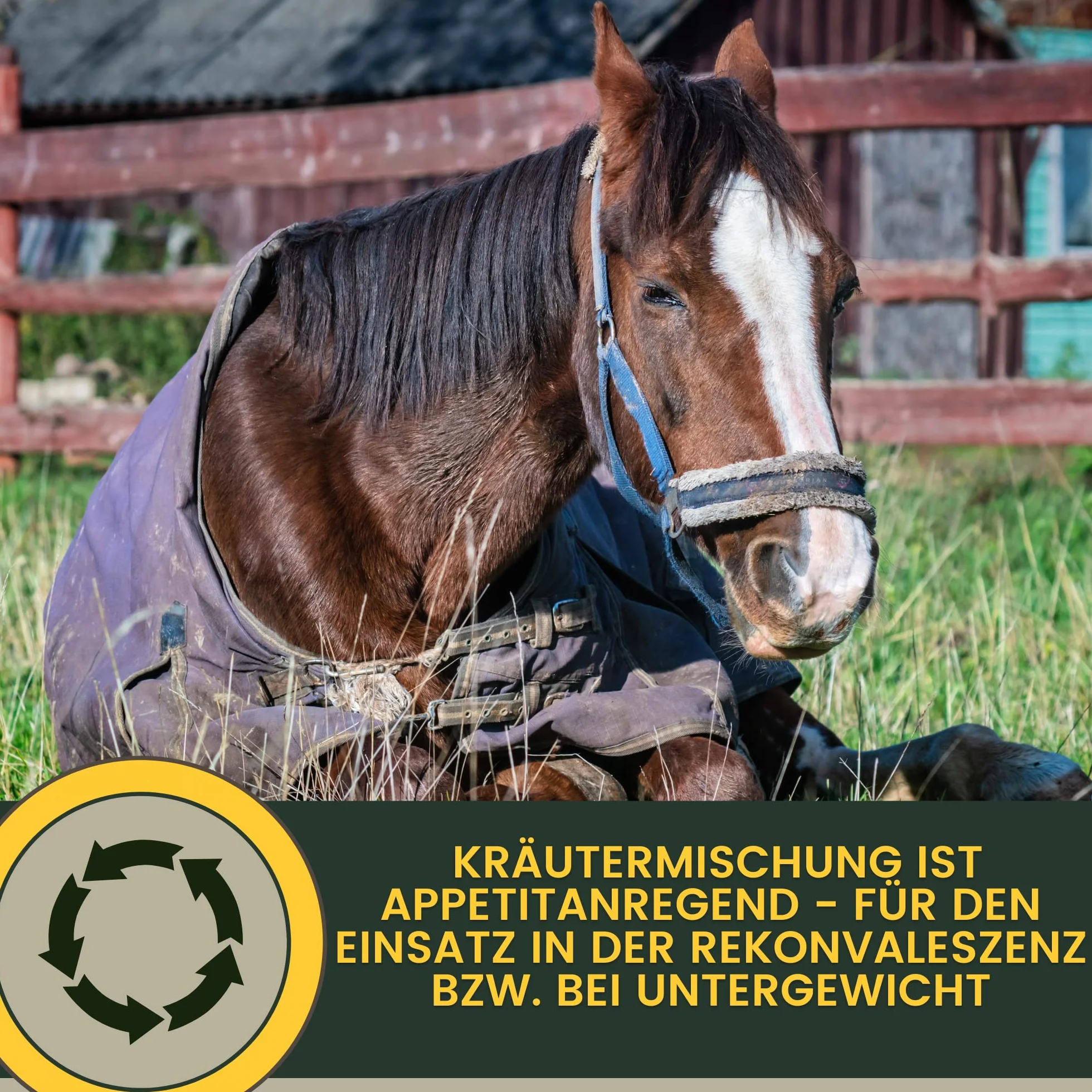 Emma Sirop la toux Cheval - Elixir Herbes Liquide 1L fenouil thym bronchiques remède
