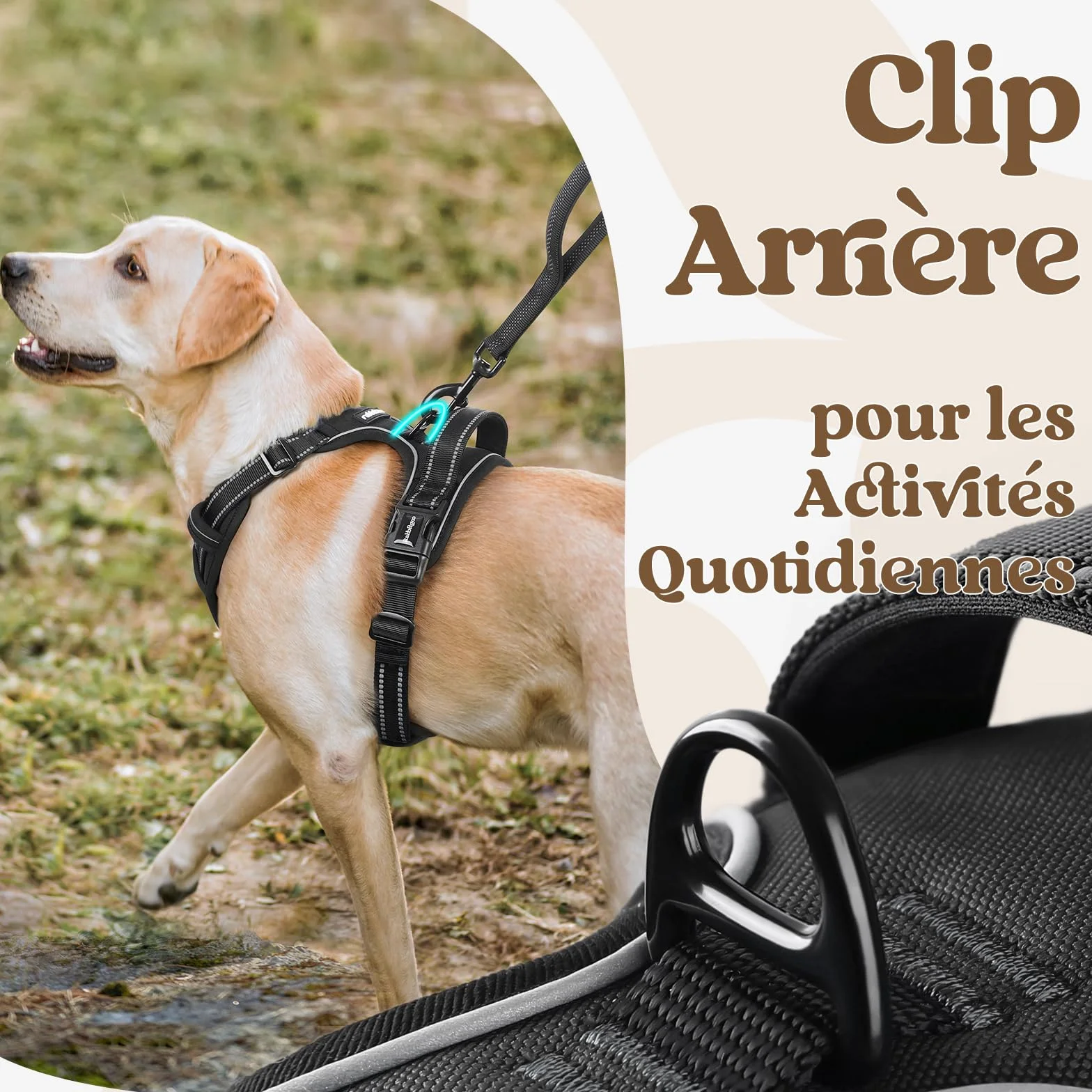 Rabbitgoo Harnais Chien Anti Traction 3 Boucles Réglable Réfléchissant Noir L