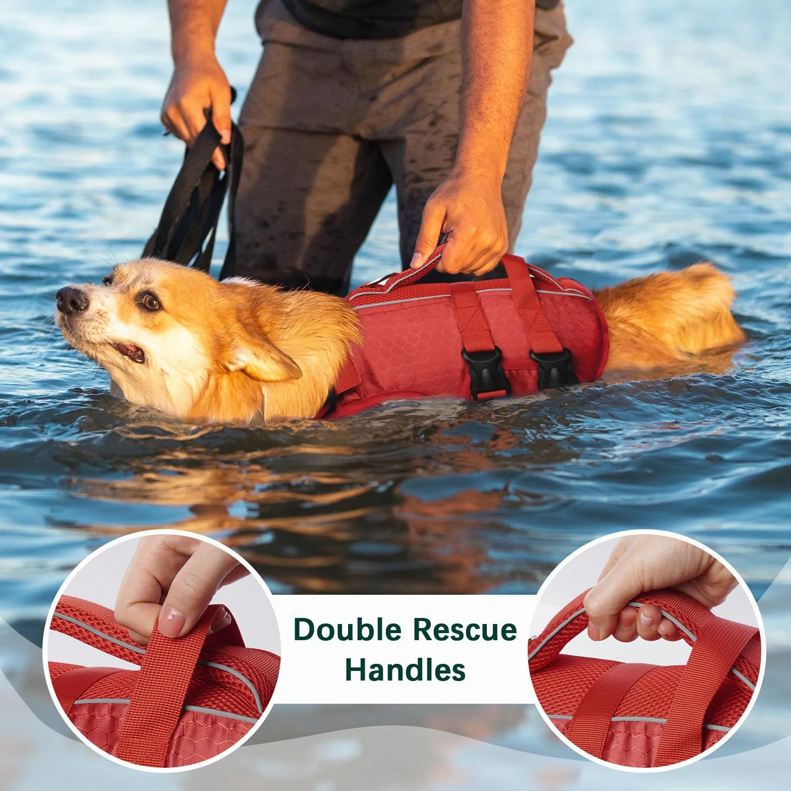 Kuoser Gilet de sauvetage pour chien réglable avec poignée de sauvetage flottabilité