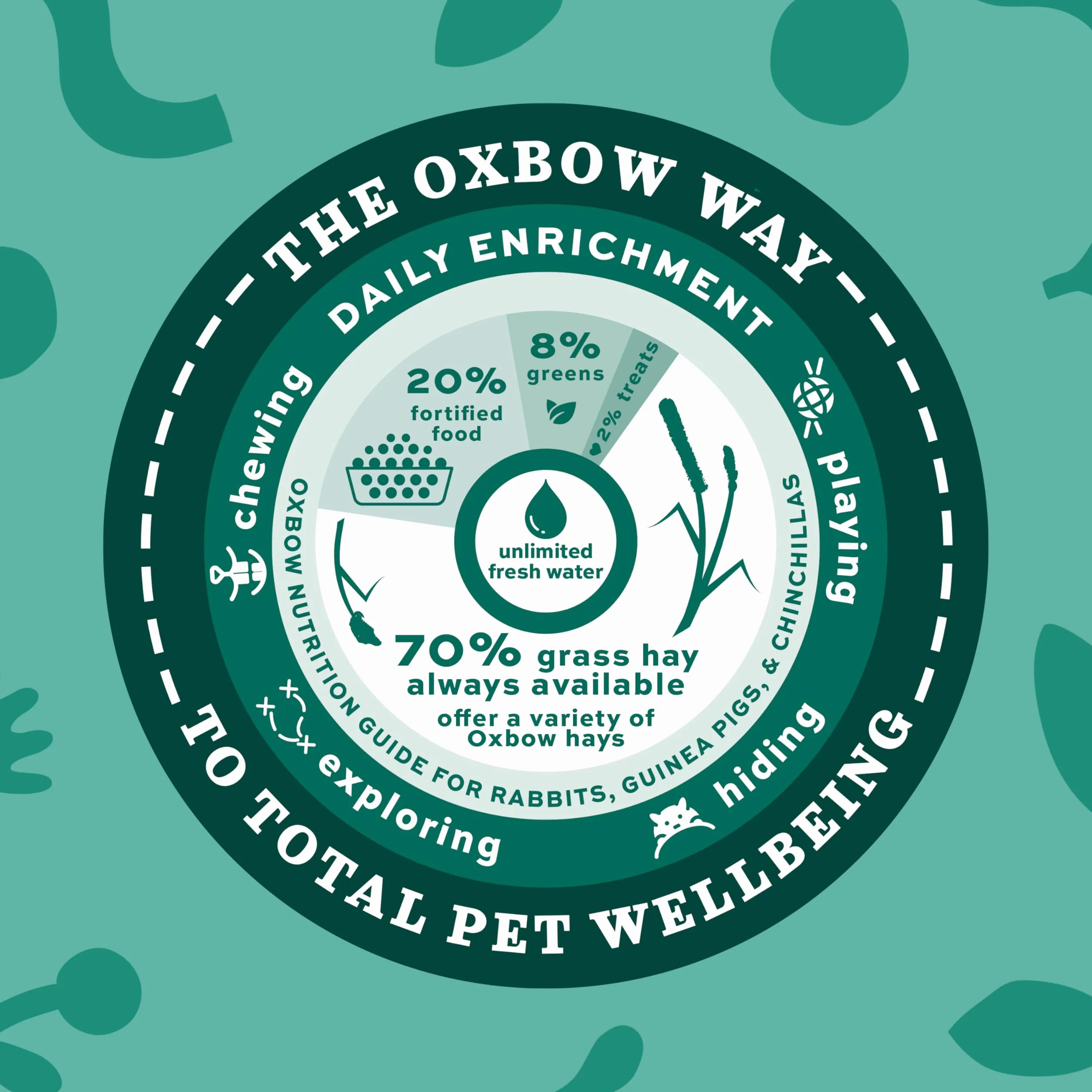 Oxbow Critical Care Herbivore Anis 141g