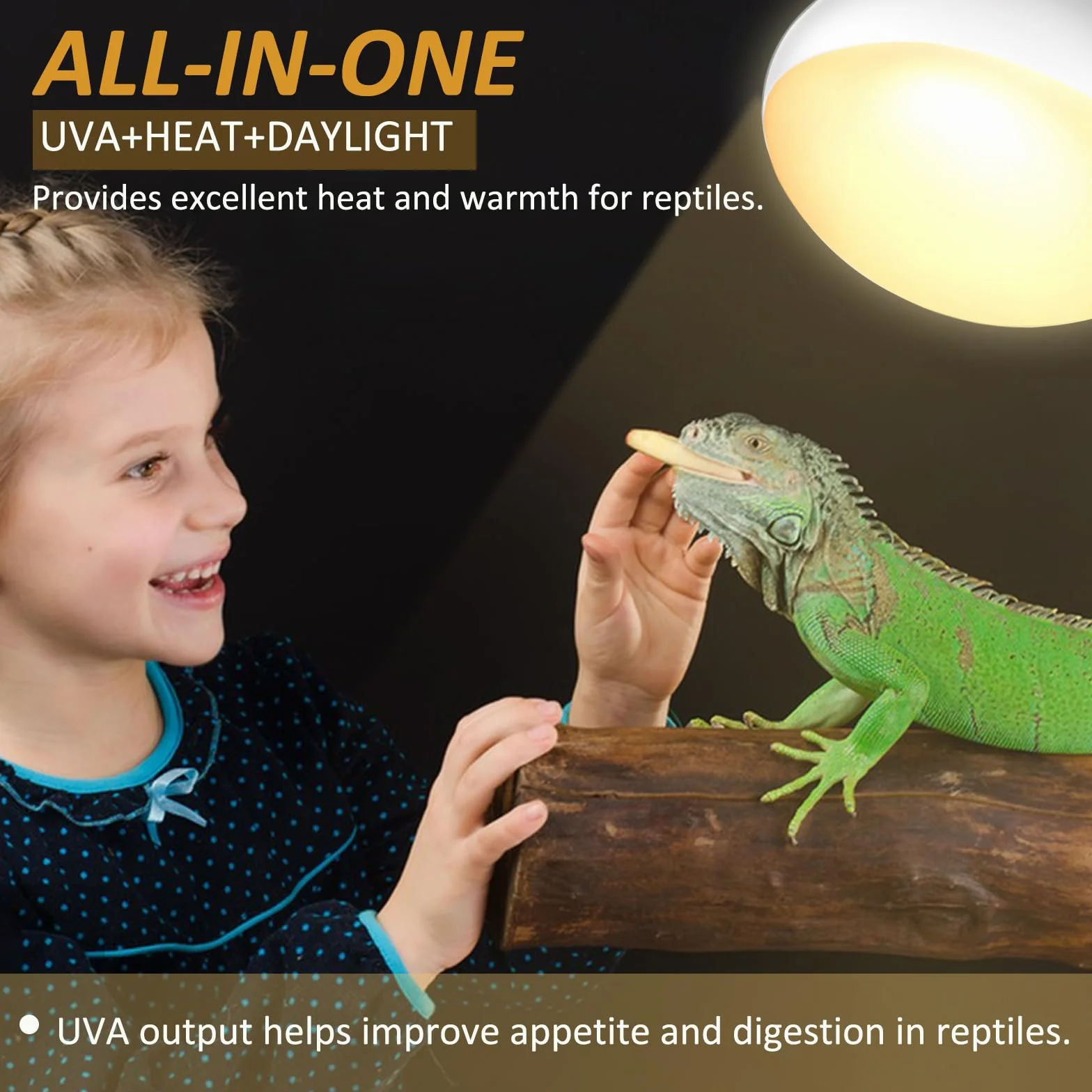 Caldarax Lot de 2 Ampoule Chauffante Reptile 50W AC 220V Basking Spot R80 UVA E27