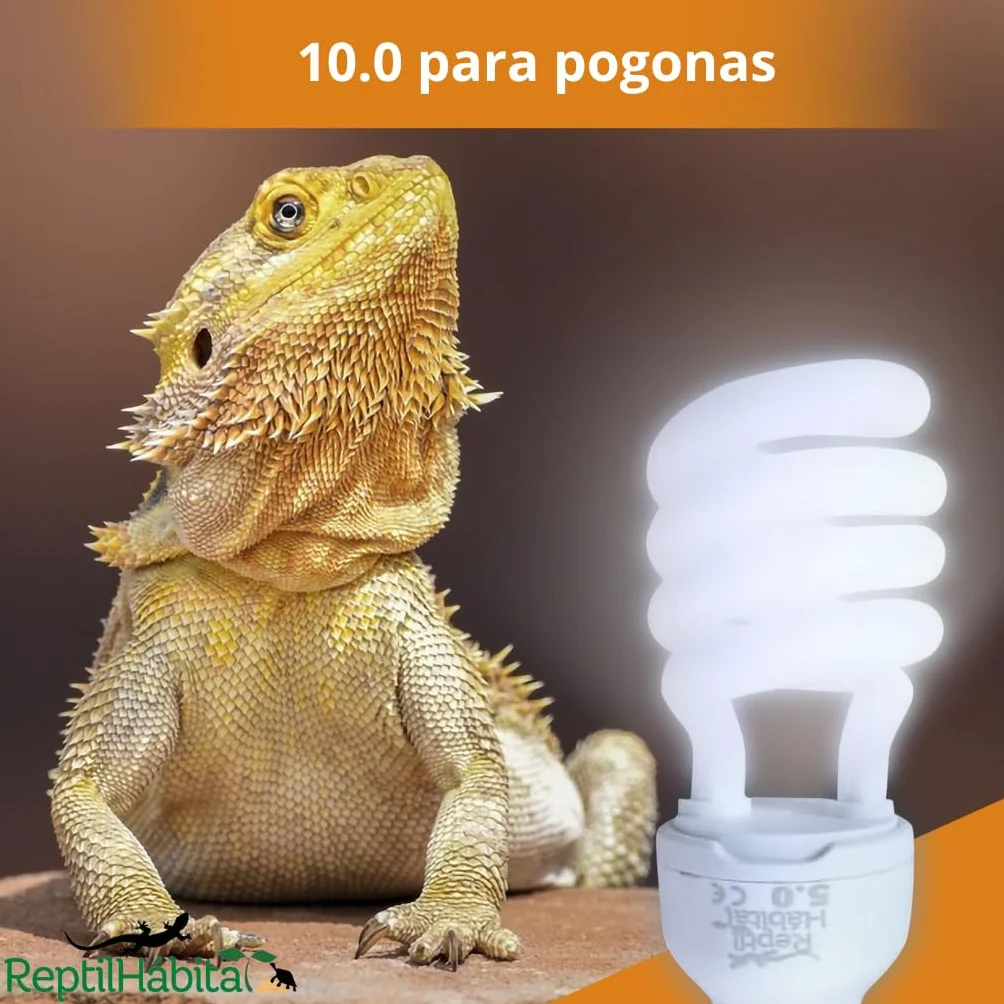 Ampoule UVB 10.0 UVA 13W E27 pour Terrarium Reptiles Tortues Pogona