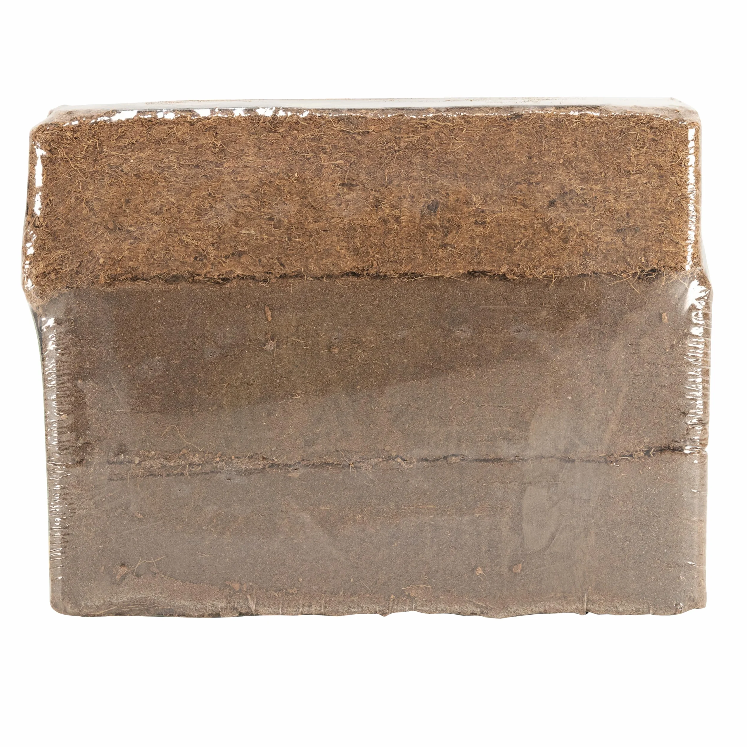Zoomed Eco Earth 3 Pack