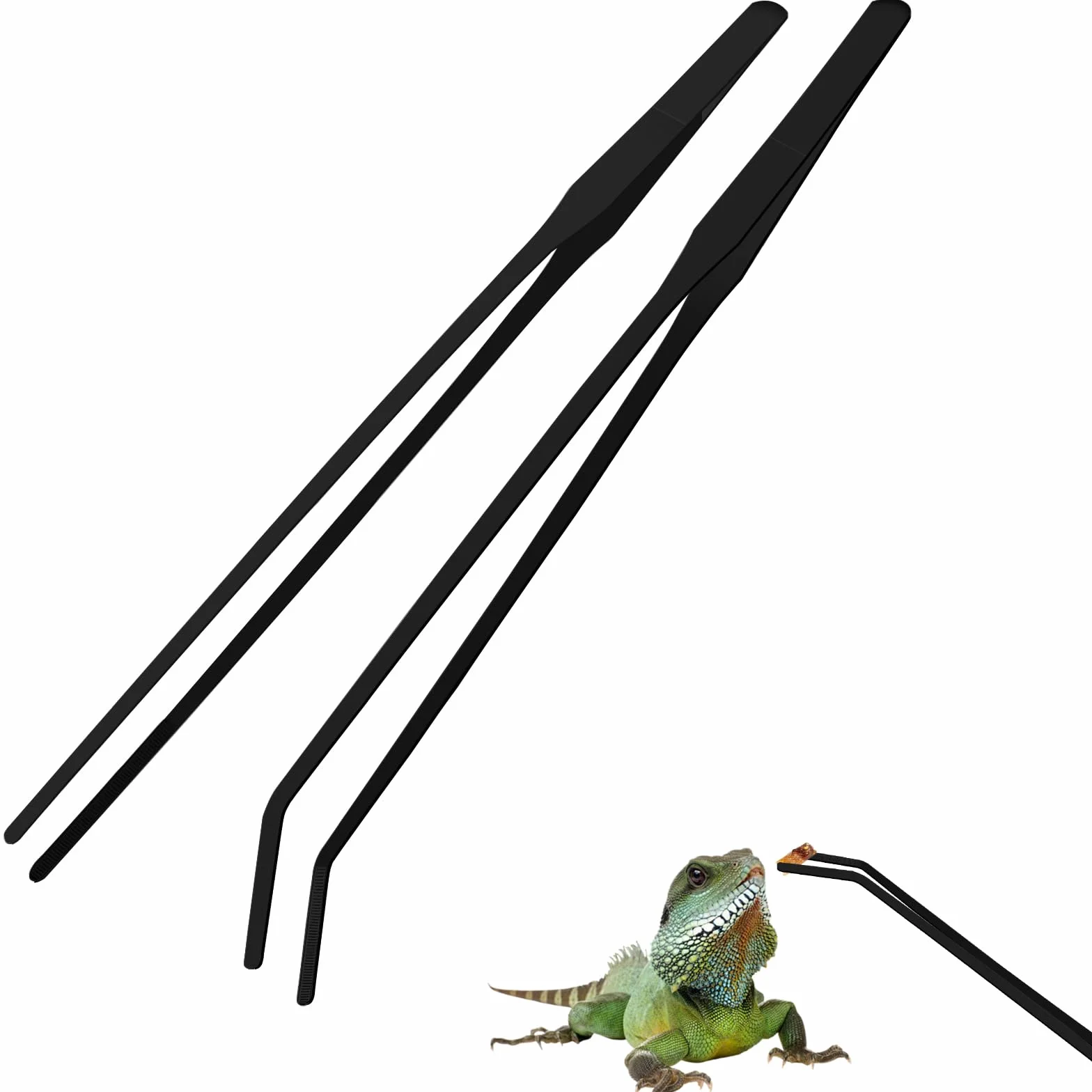 Pince Aquarium 27cm Acier Inoxydable pour Reptiles Lézards Serpents Terrarium Noir