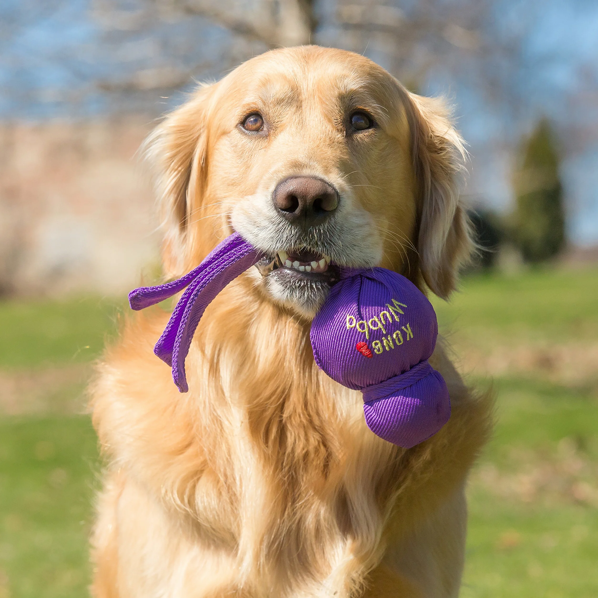 KONG Wubba - Jouet pour Chien pour Tir À La Corde Et Récupération - Fournitures pour Jeux De Chiot Et Chien - pour Grands Chiens