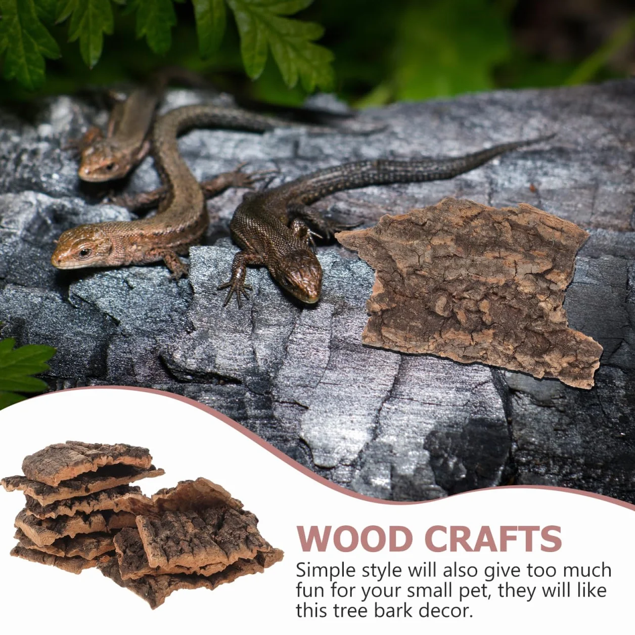 LALAFINA Lot de 10 Écorces Décoratives Naturelles pour Terrarium Reptiles Lézards Tortues Petite 5-9 CM Bois Sûr
