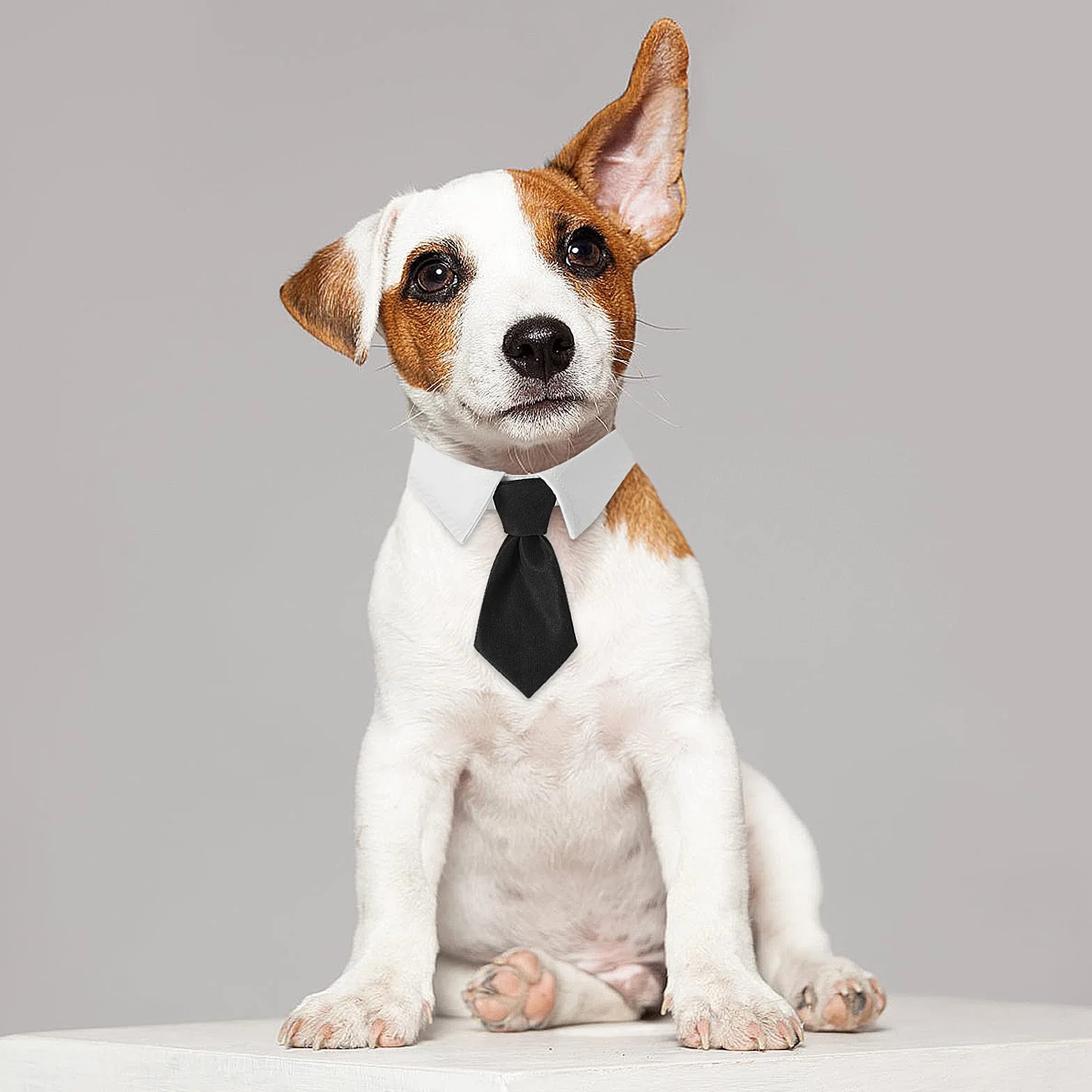 Lot de 2 colliers de smoking réglables pour chien et chat - Nœud papillon formel pour mariage