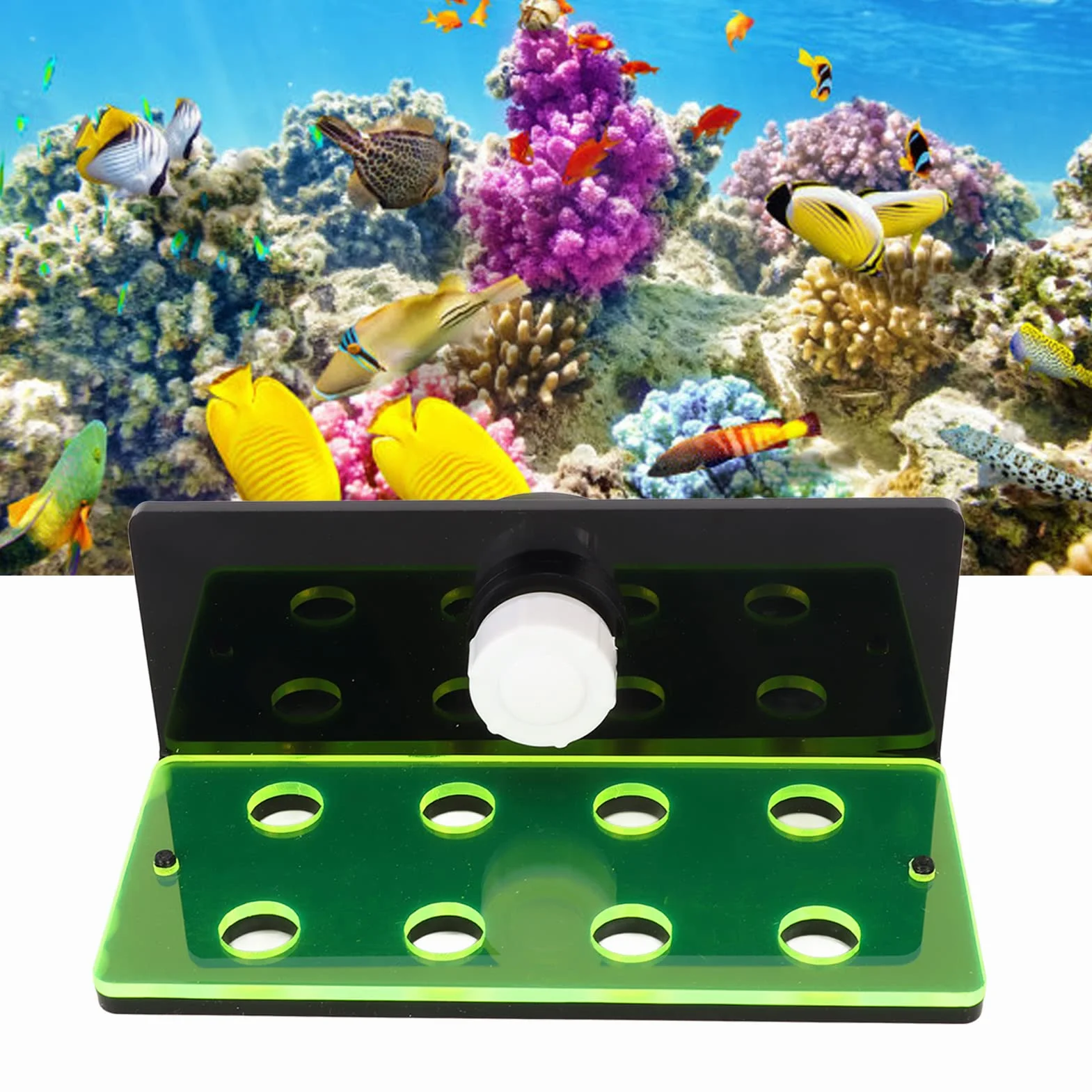 Frag Rack 6 Trous Fluorescent Green Frag Holder Acrylique Aquarium Racks avec Ventouse pour Coraux Vivants