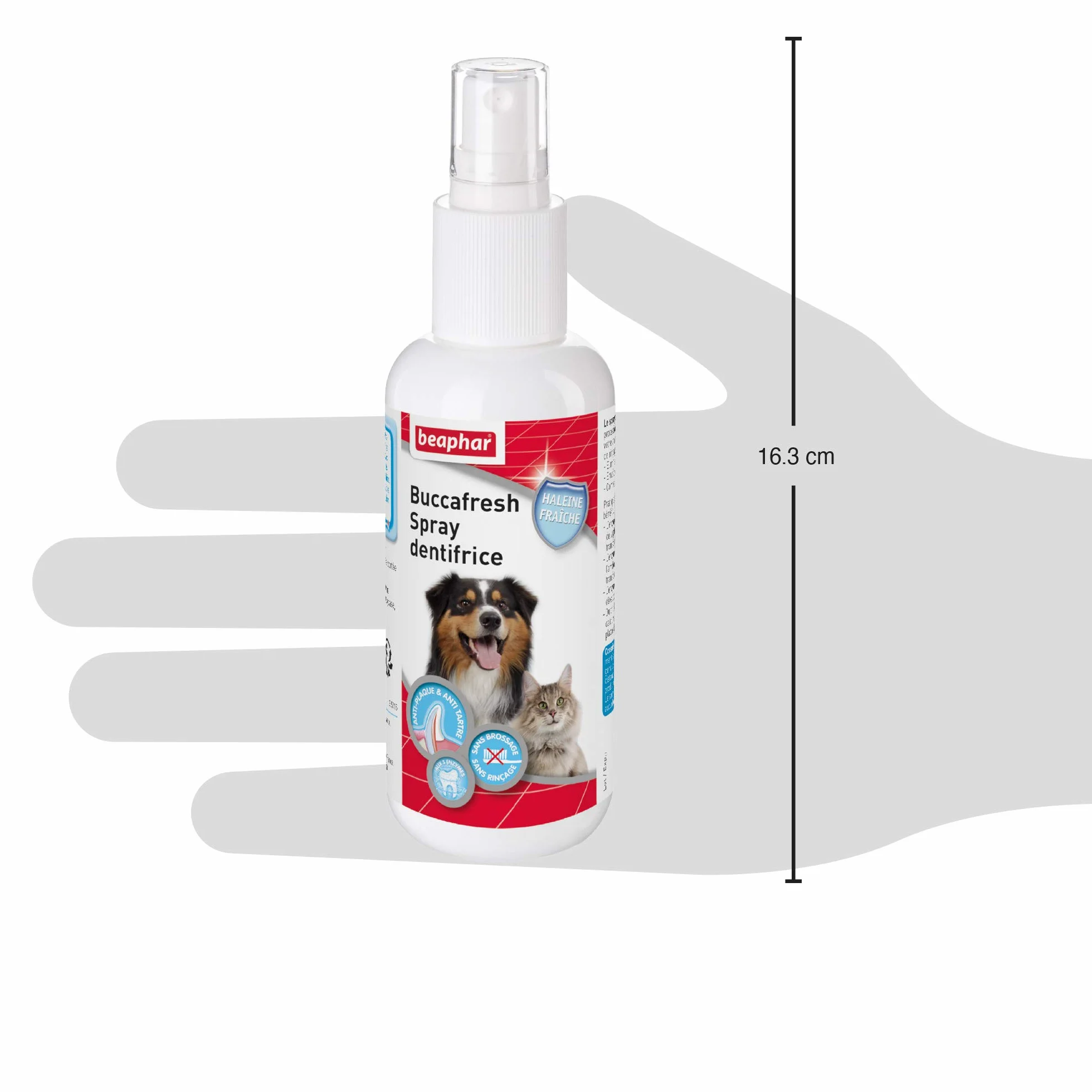 BEAPHAR Spray dentifrice chien chat 150 ml élimine plaque dentaire tartre mauvaise haleine