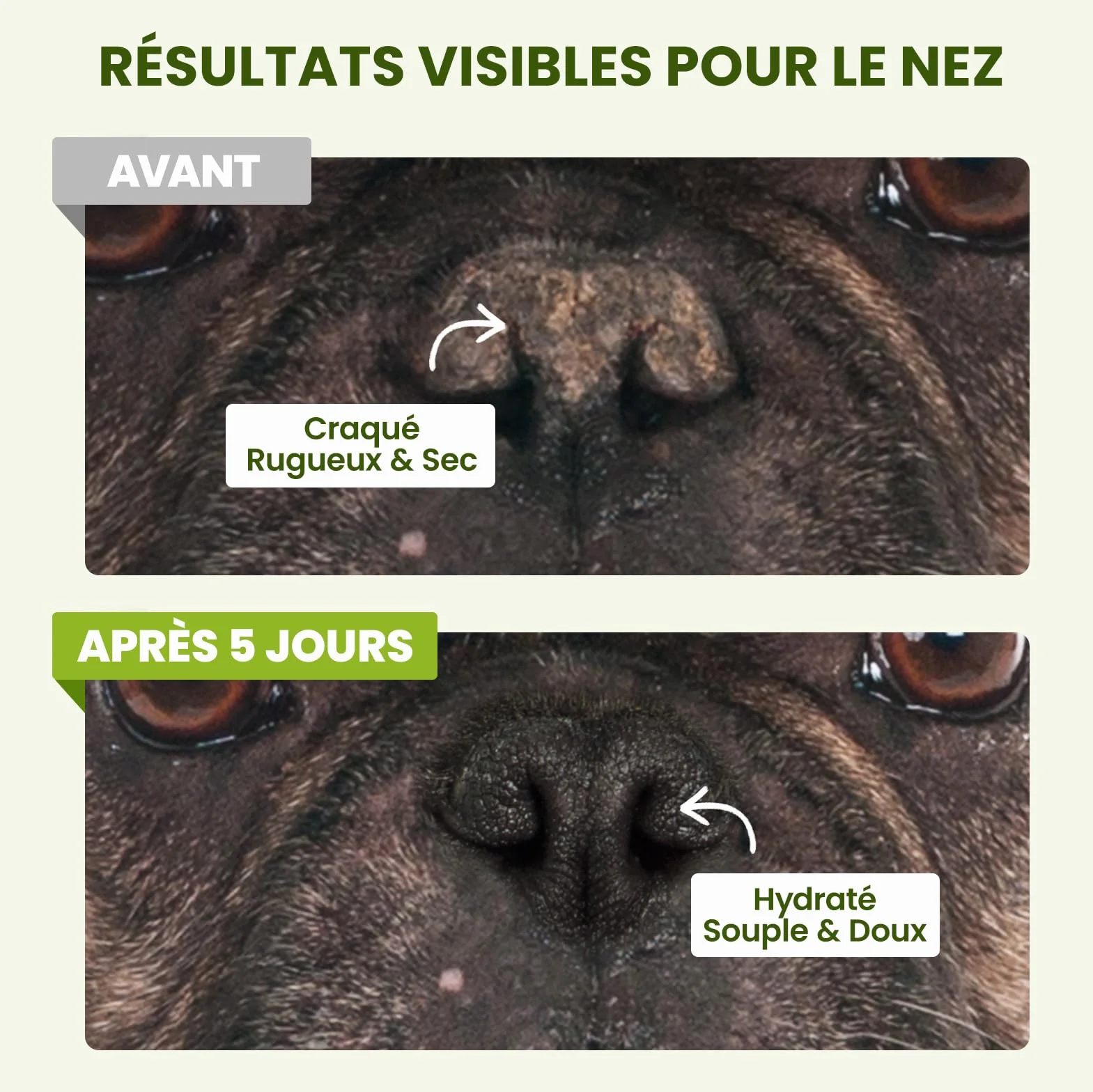 PawSono Baume Coussinets et Truffe Chien 100% Naturel Beurre de Karité & Huile de Coco Soin Hydratant Protecteur